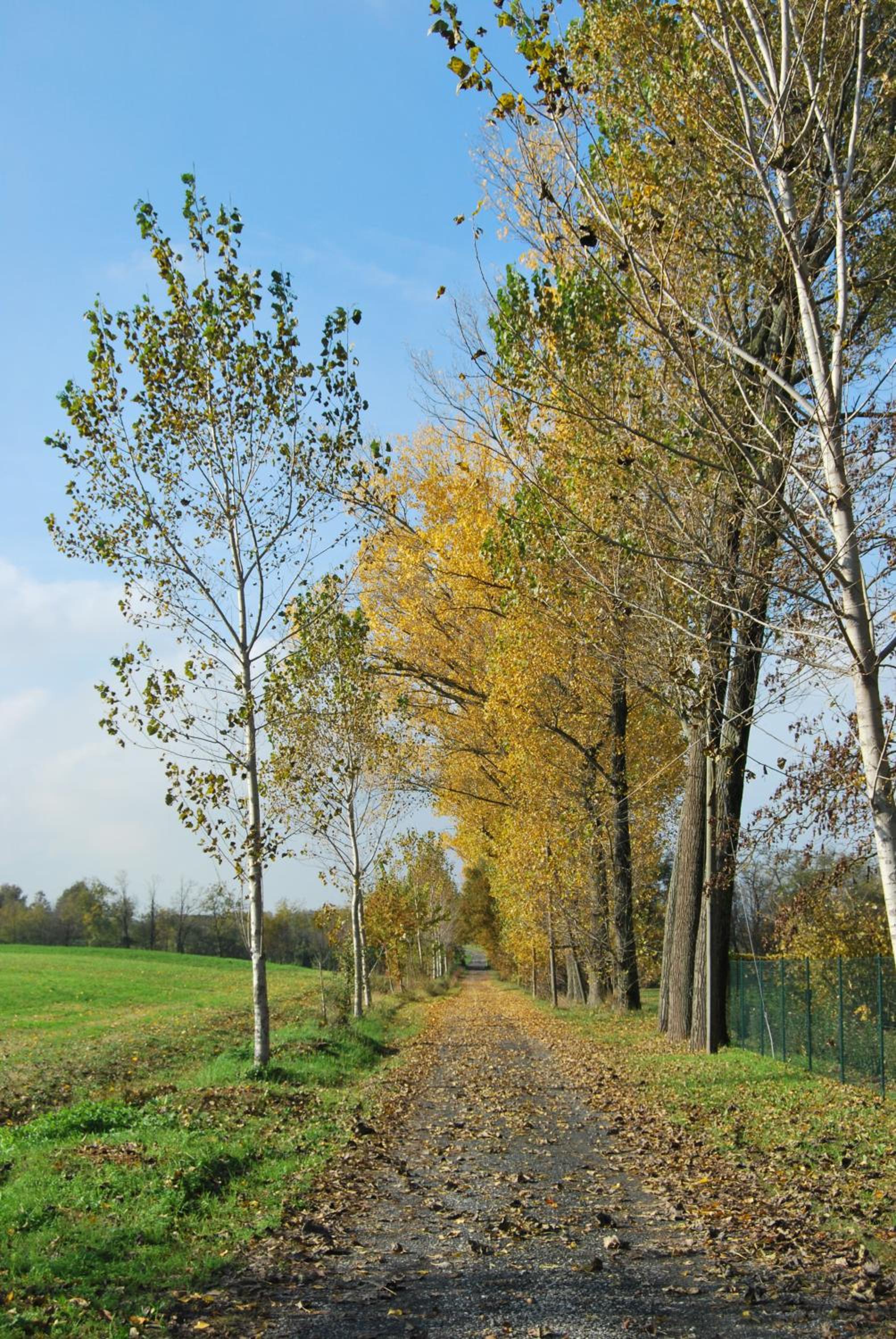 Tenuta Rivalazzo