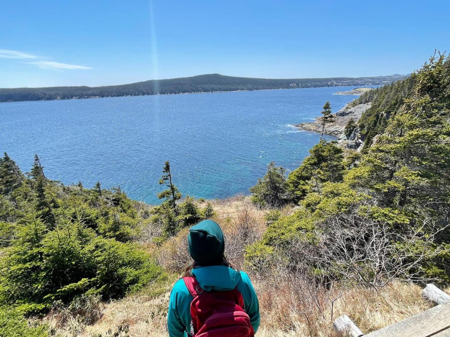 Oceanfront Cottage Walk to Trail & Boat Tours