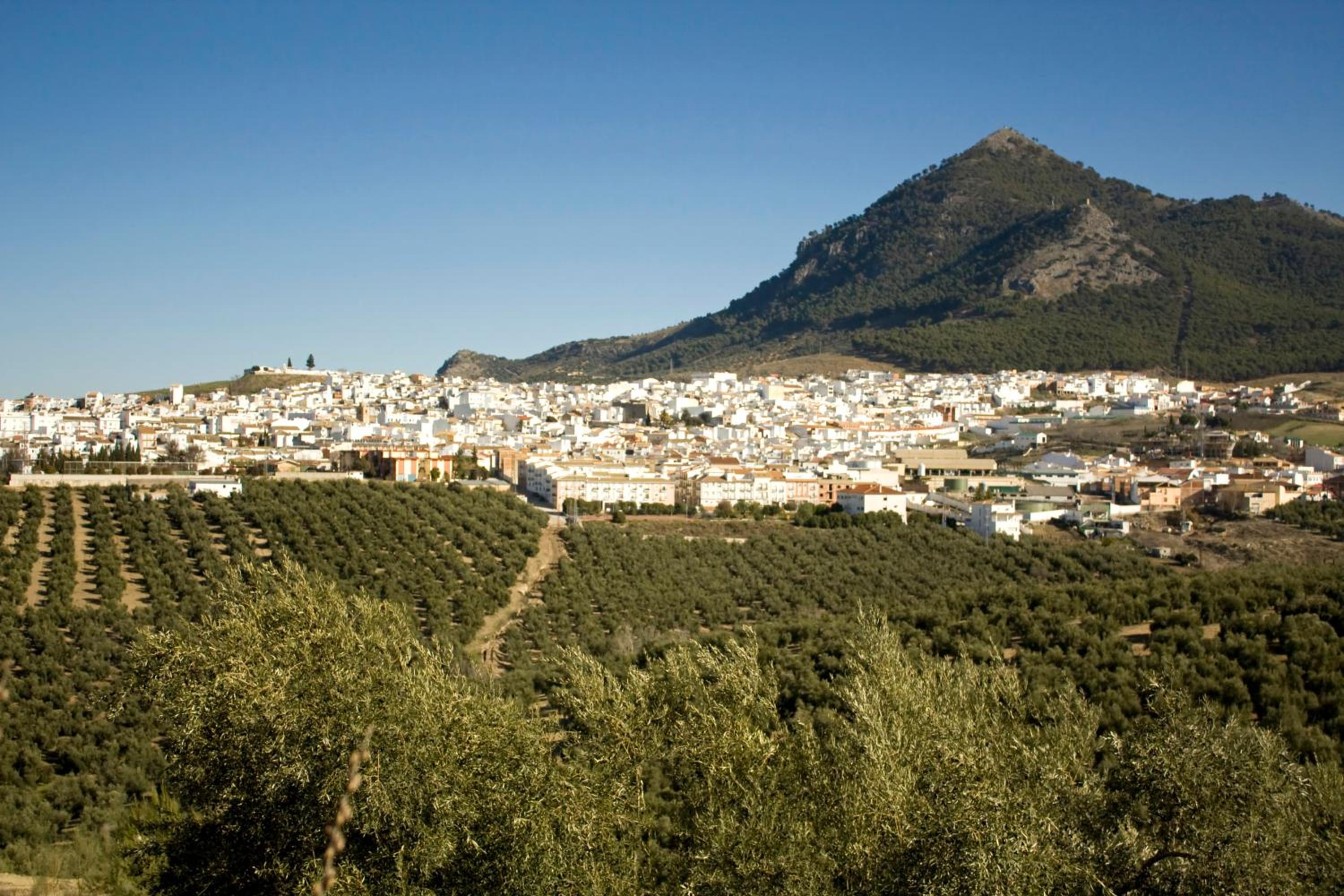 El Rincon de Carmen