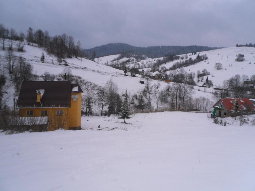 Photo 7