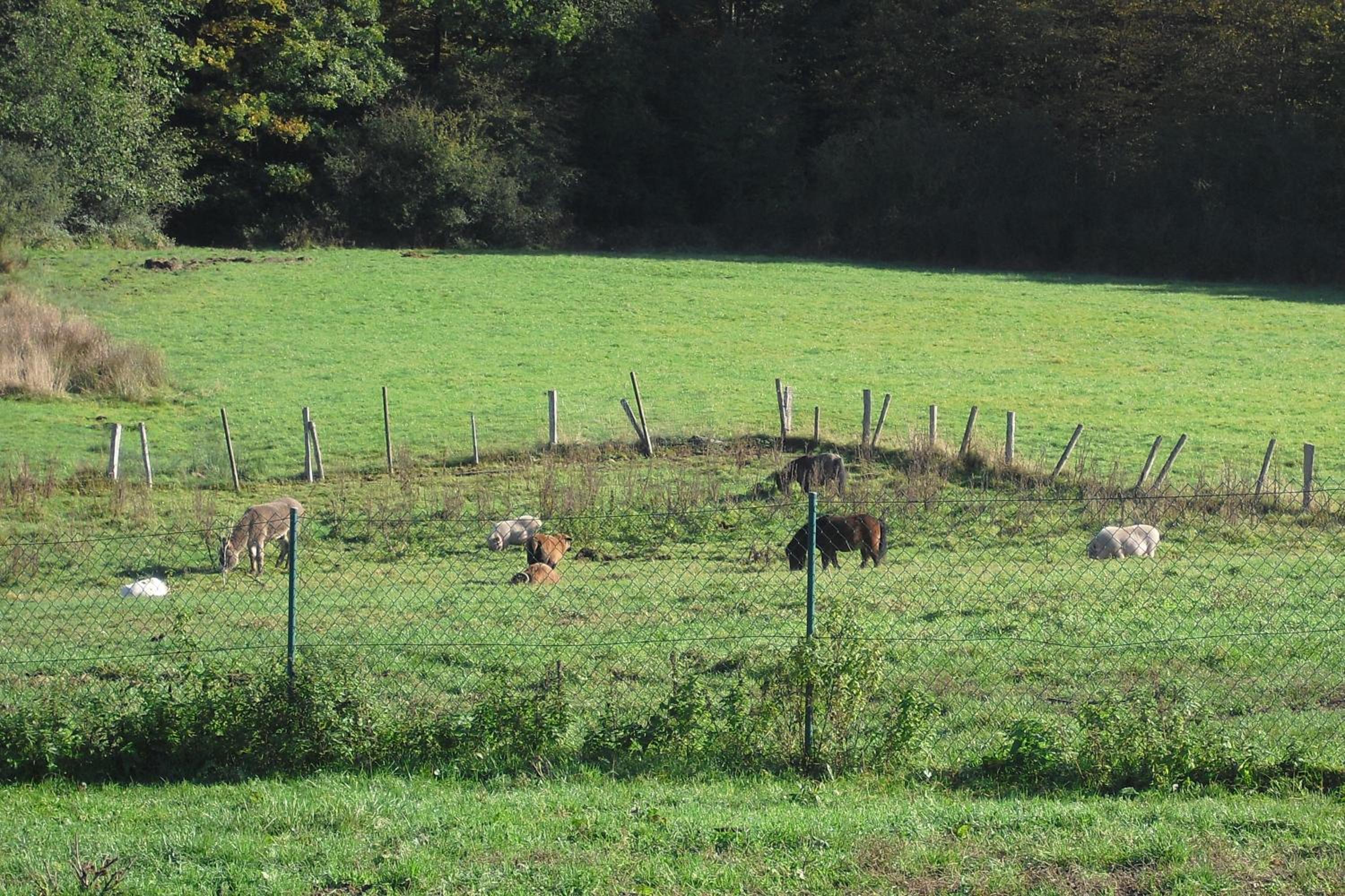 La Ferme de Werpin