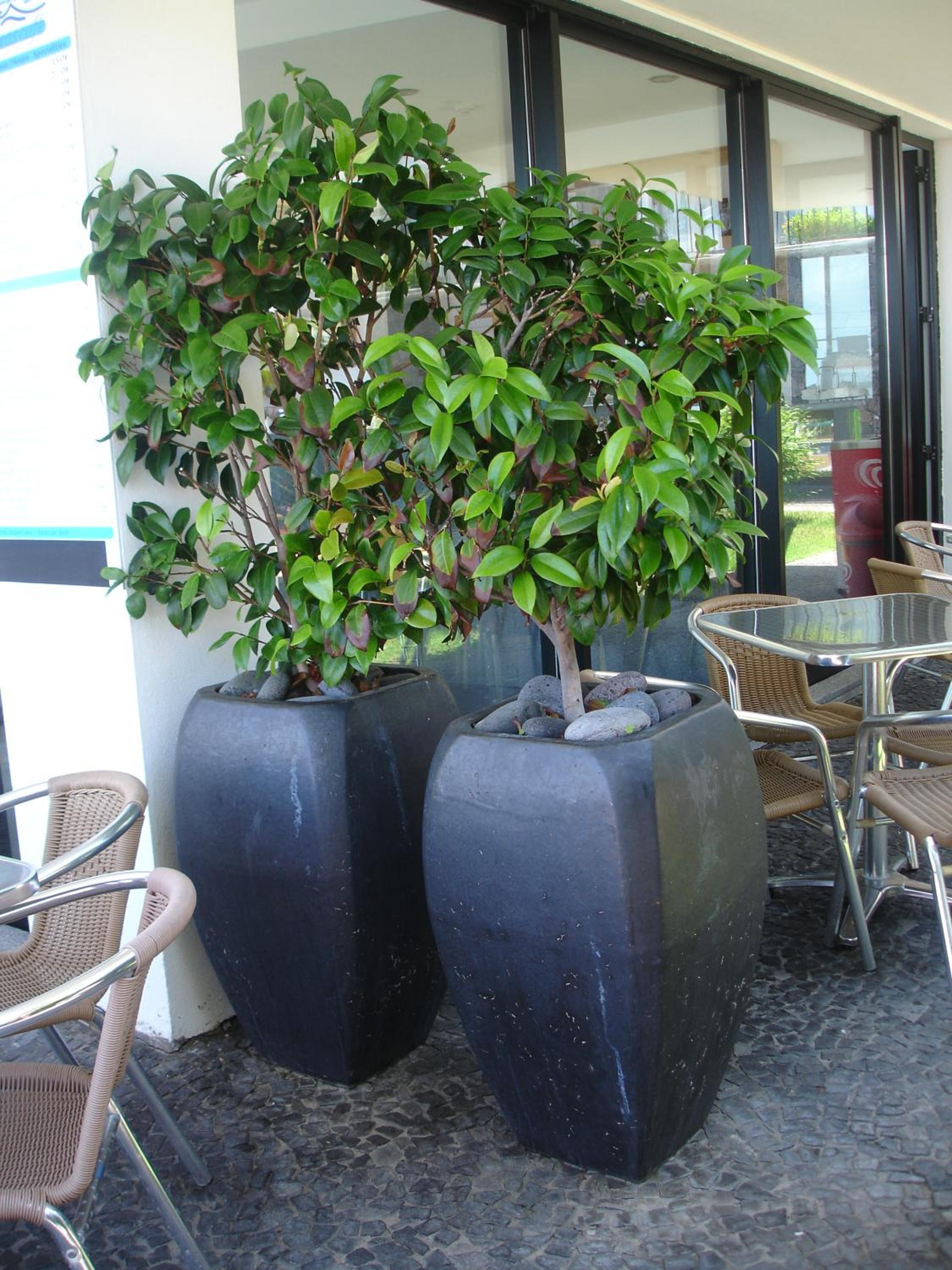 Casa da Capelinha 照片第 50 張,共 109 張