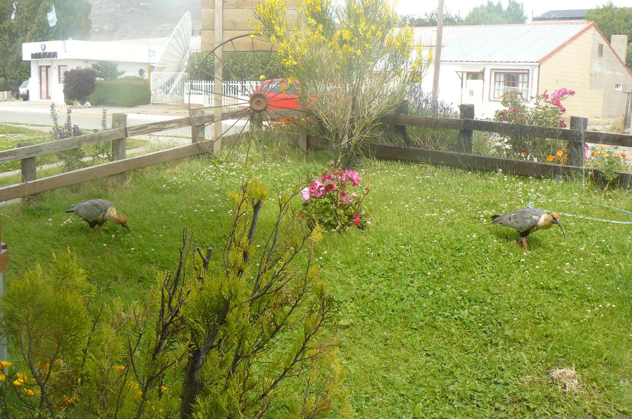 Posada Karut Josh