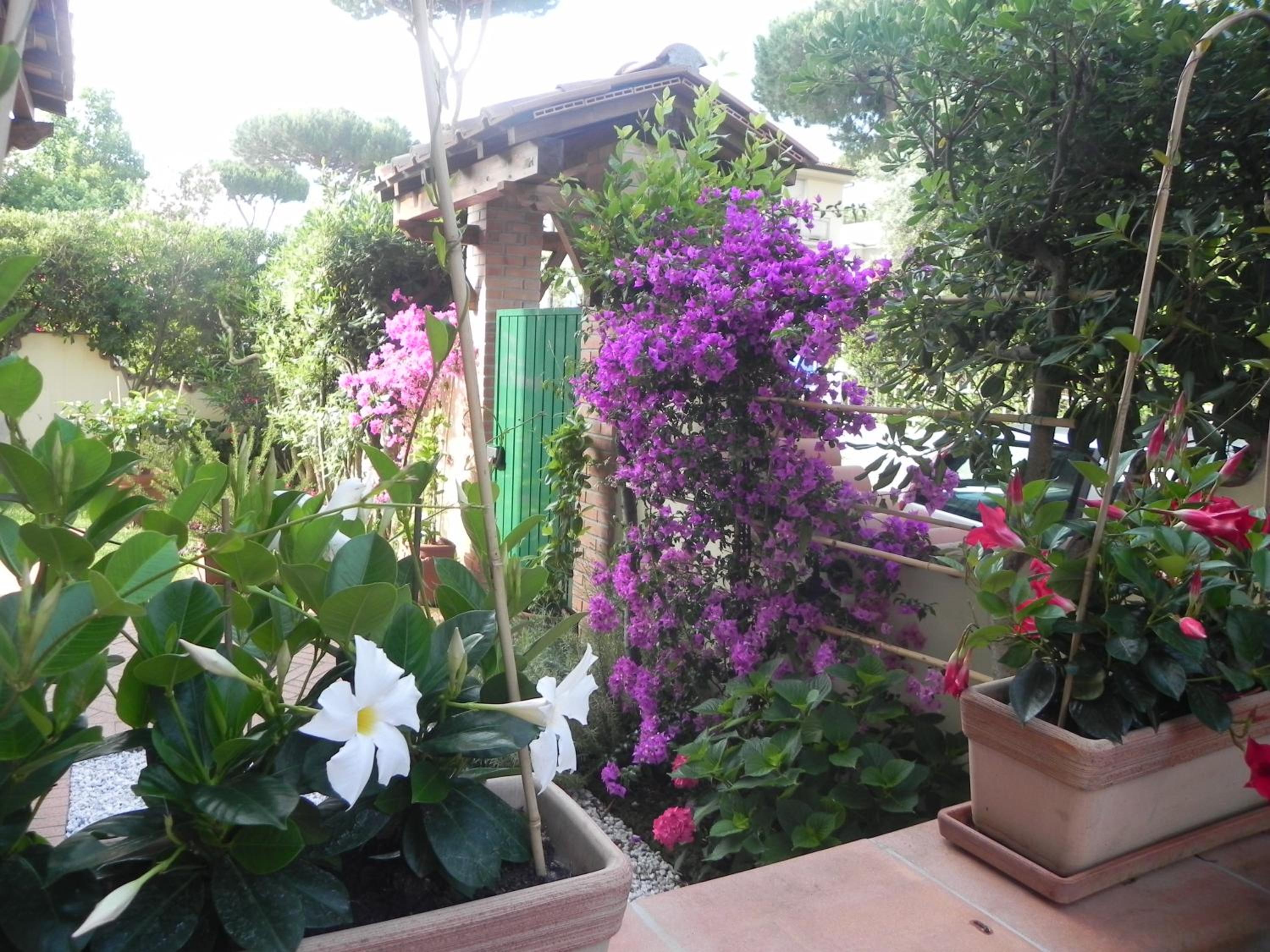 Villa Il Fortino