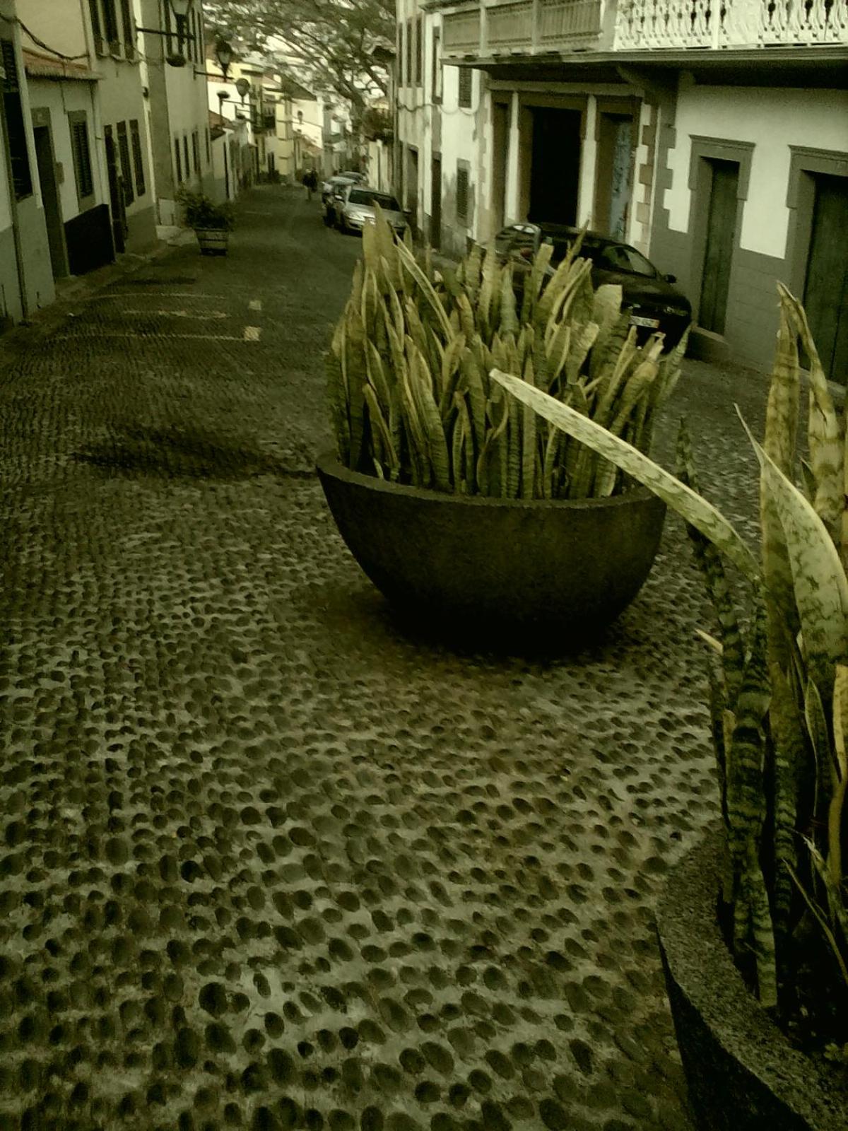 Casa Zona Velha - Caetano