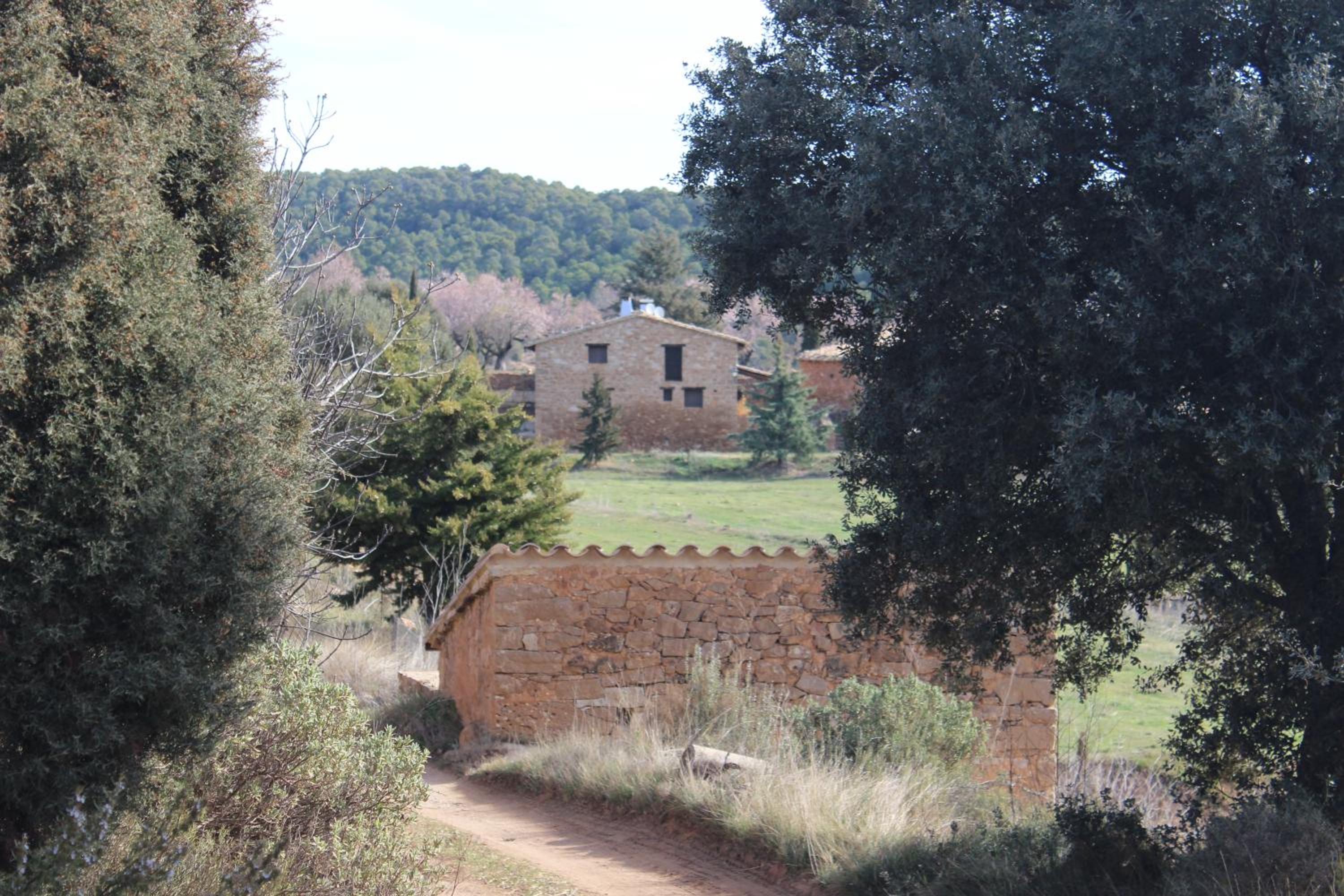 Photo 18