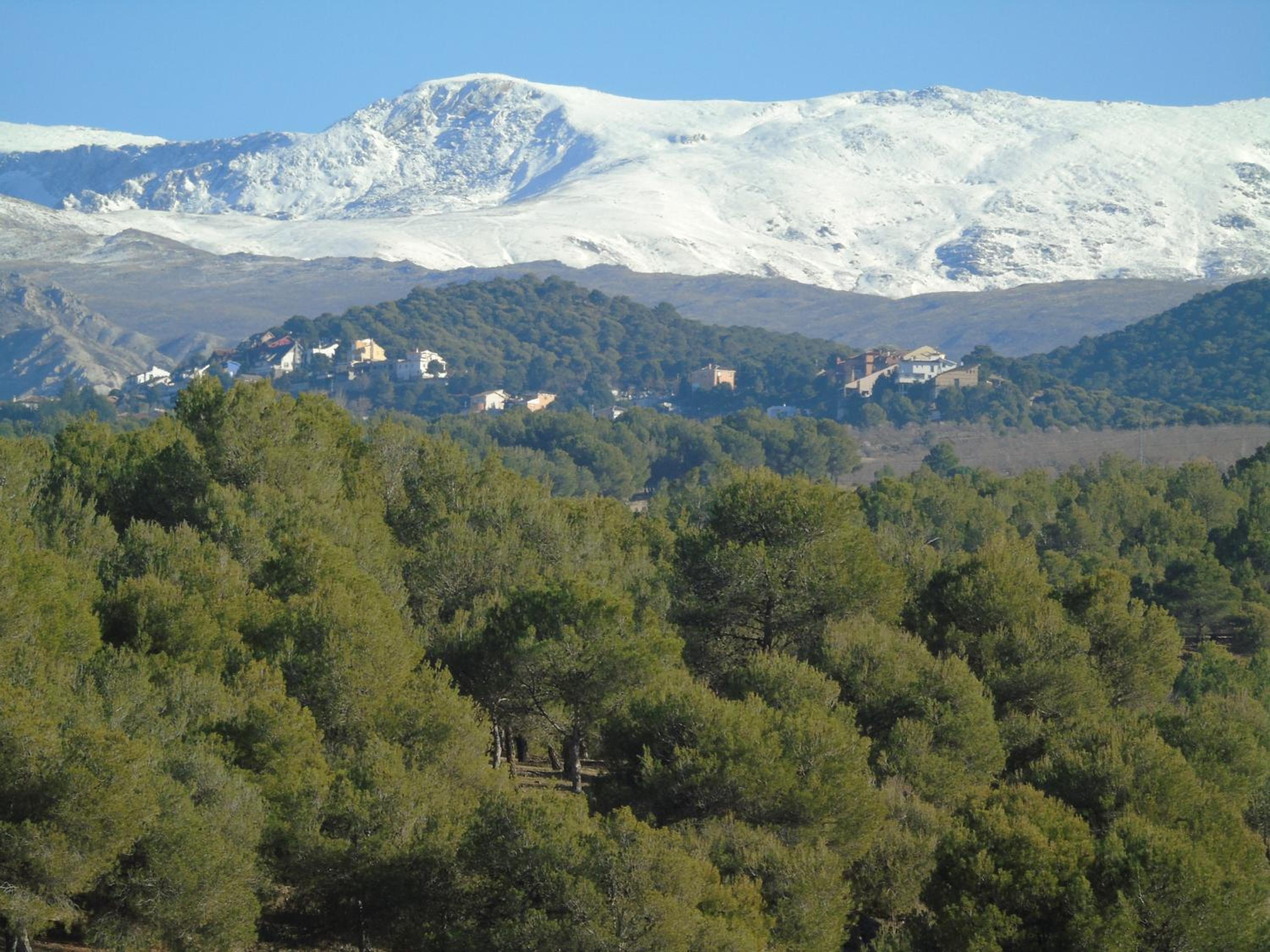 Apartamentos Turísticos Cumbres Verdes