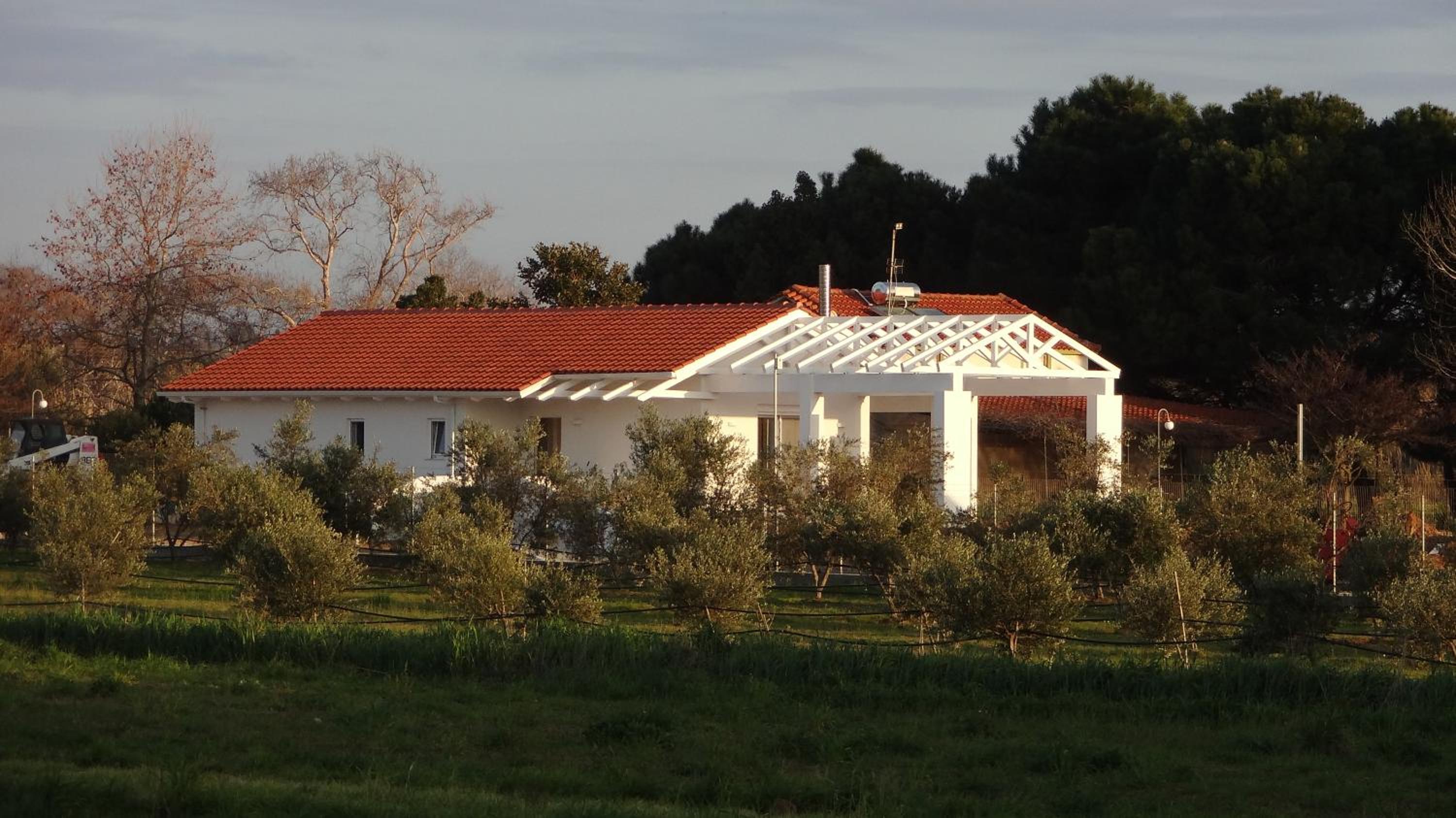 Photo 72