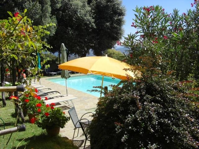 La Morosa view 4