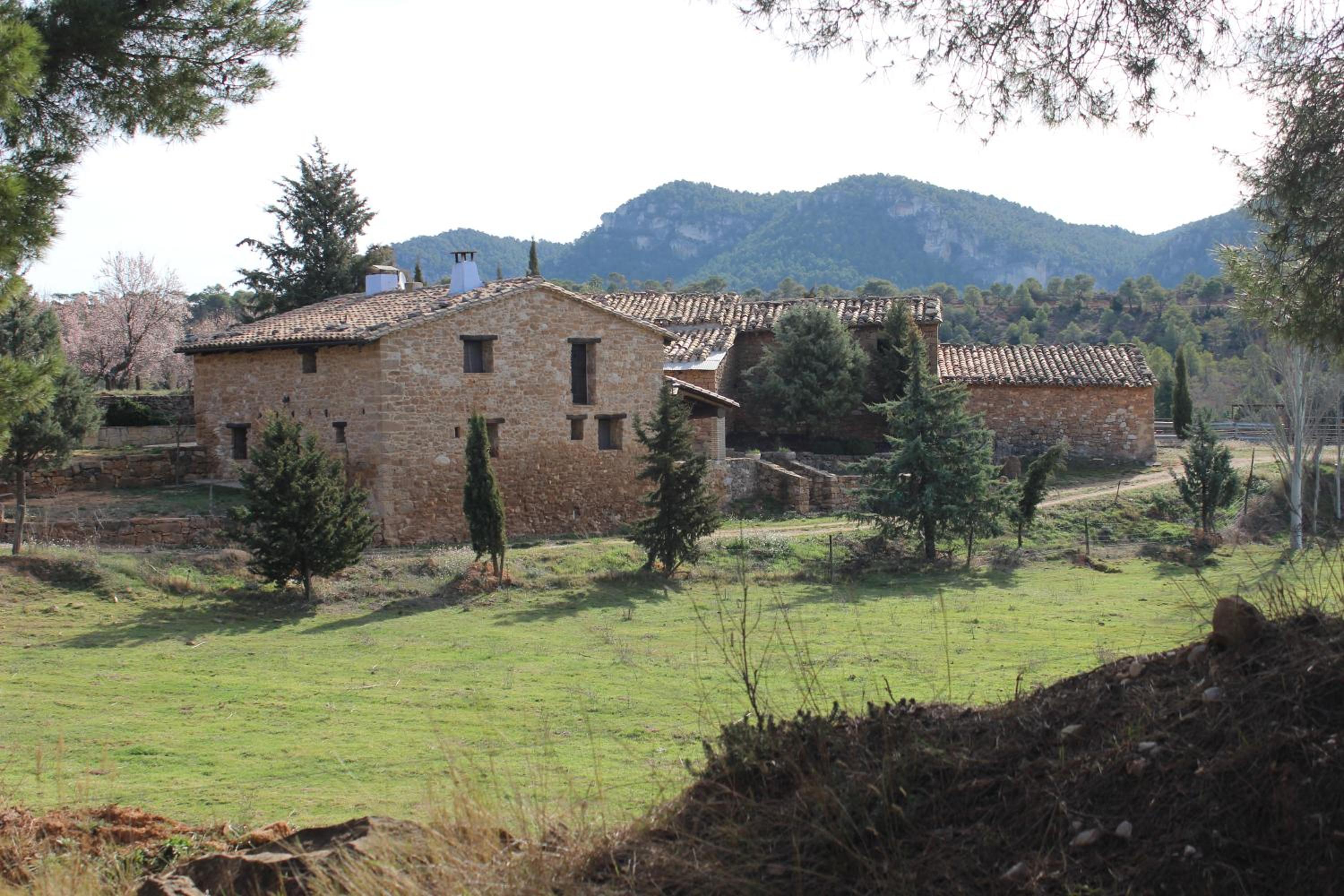 Photo 21