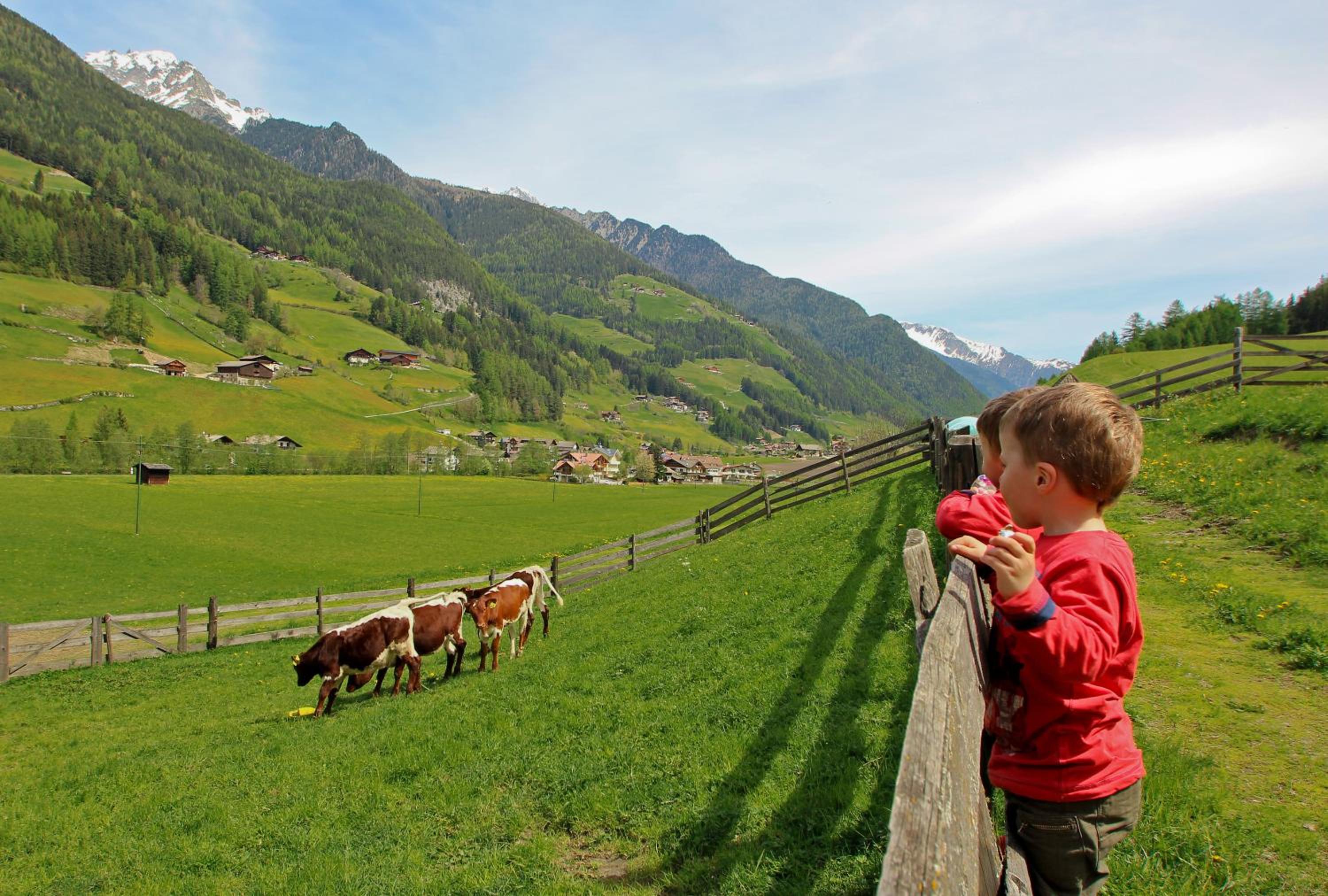 Weißnbachlhof view 4