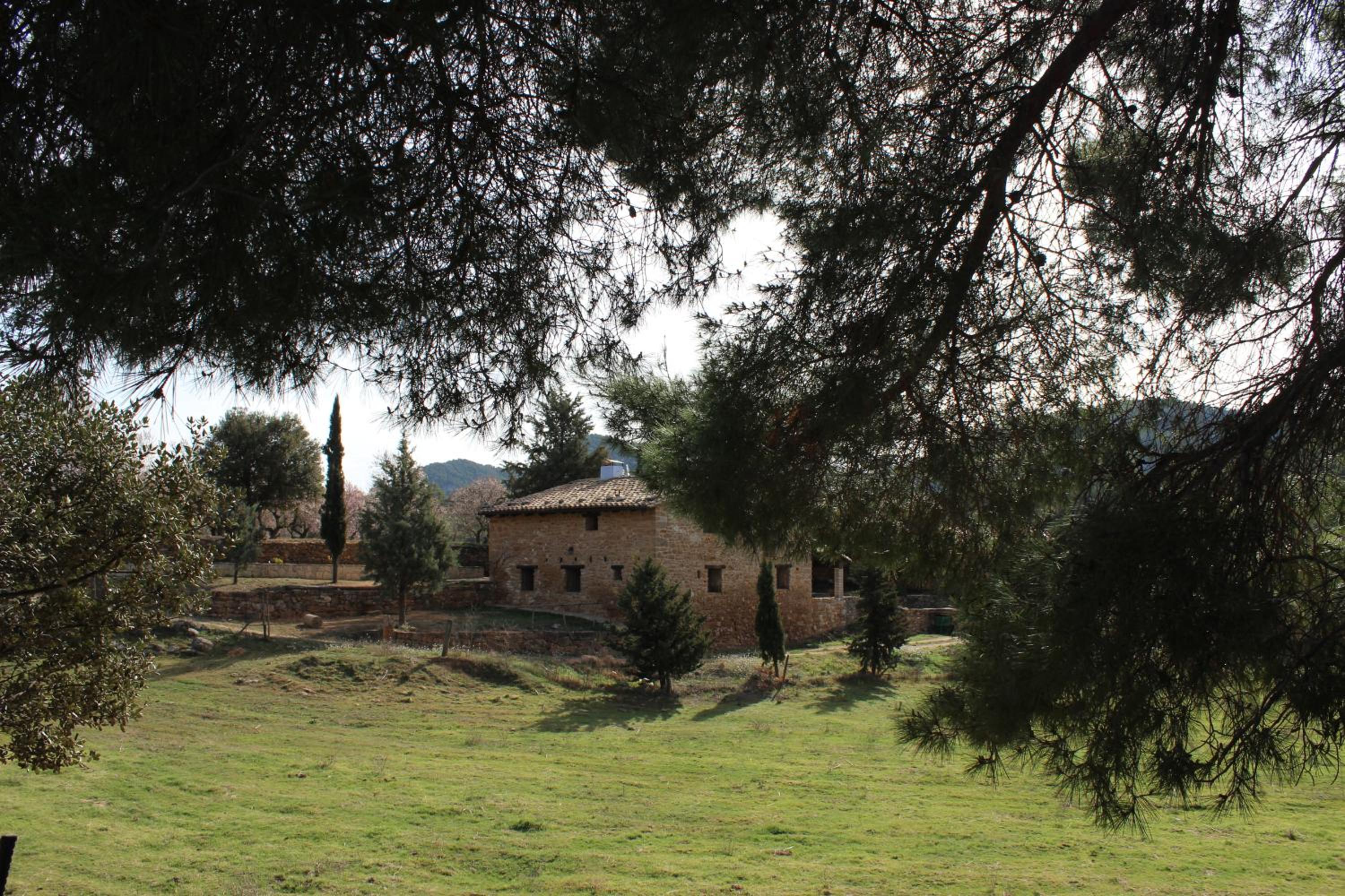 Photo 24
