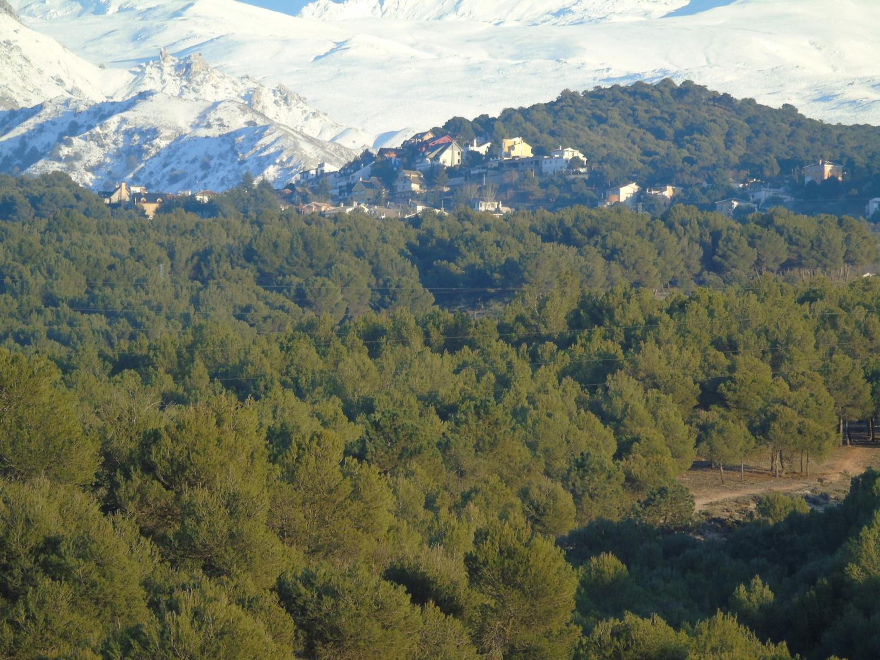 Apartamentos Turísticos Cumbres Verdes
