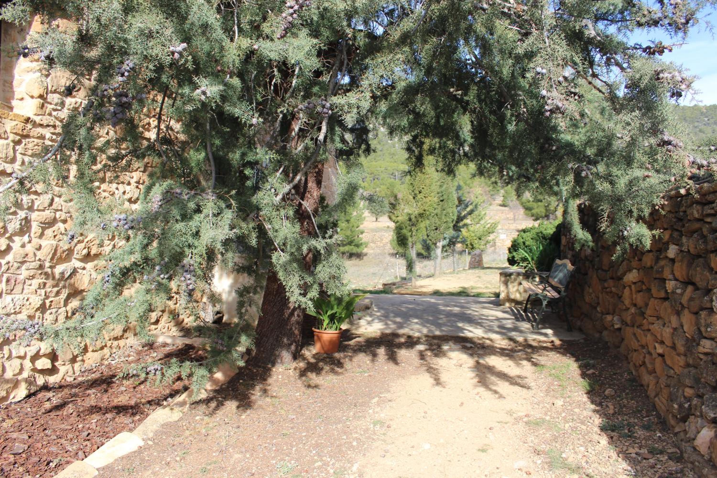 Photo 30