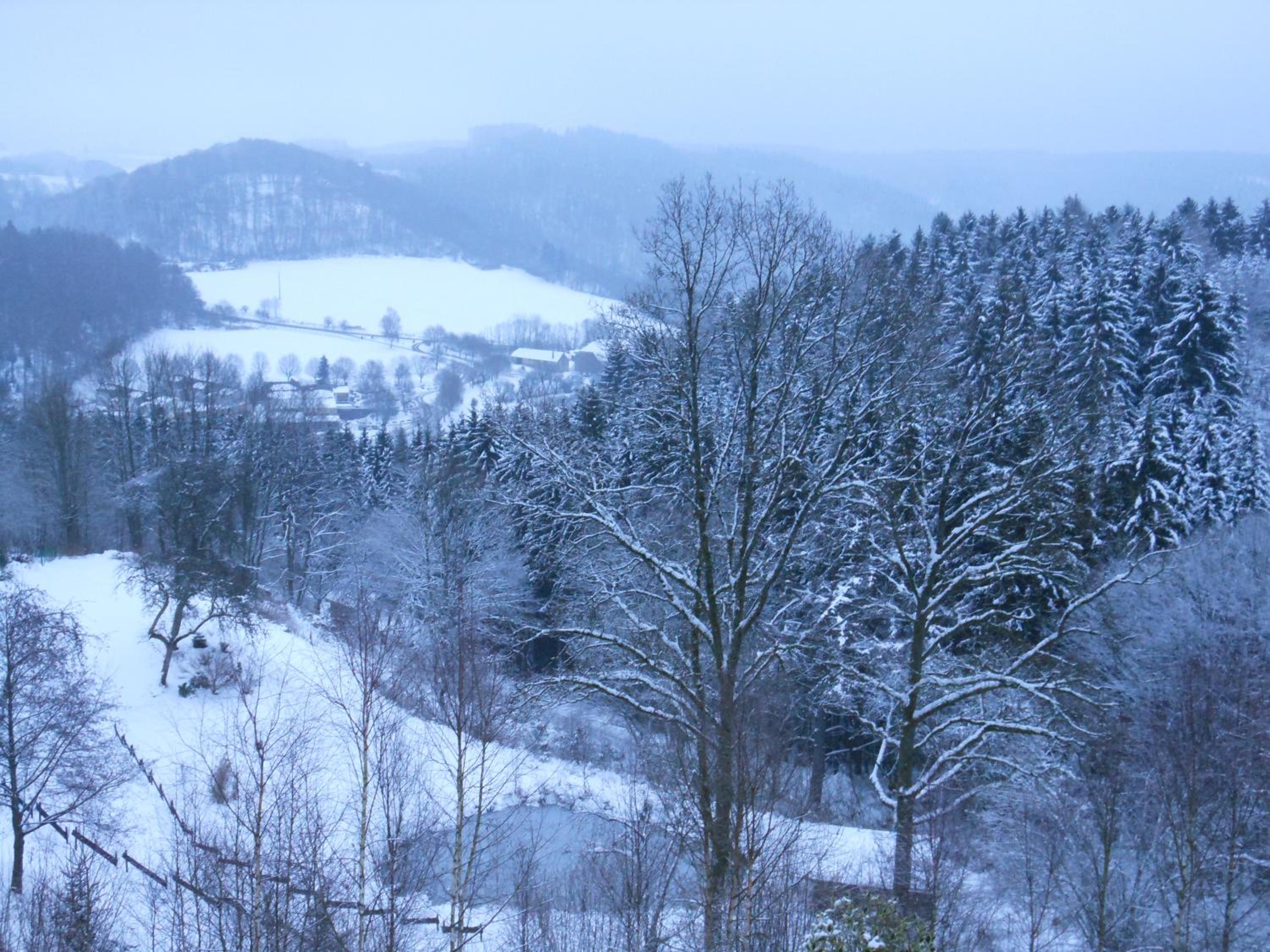 Gîte Le Gros Chêne
