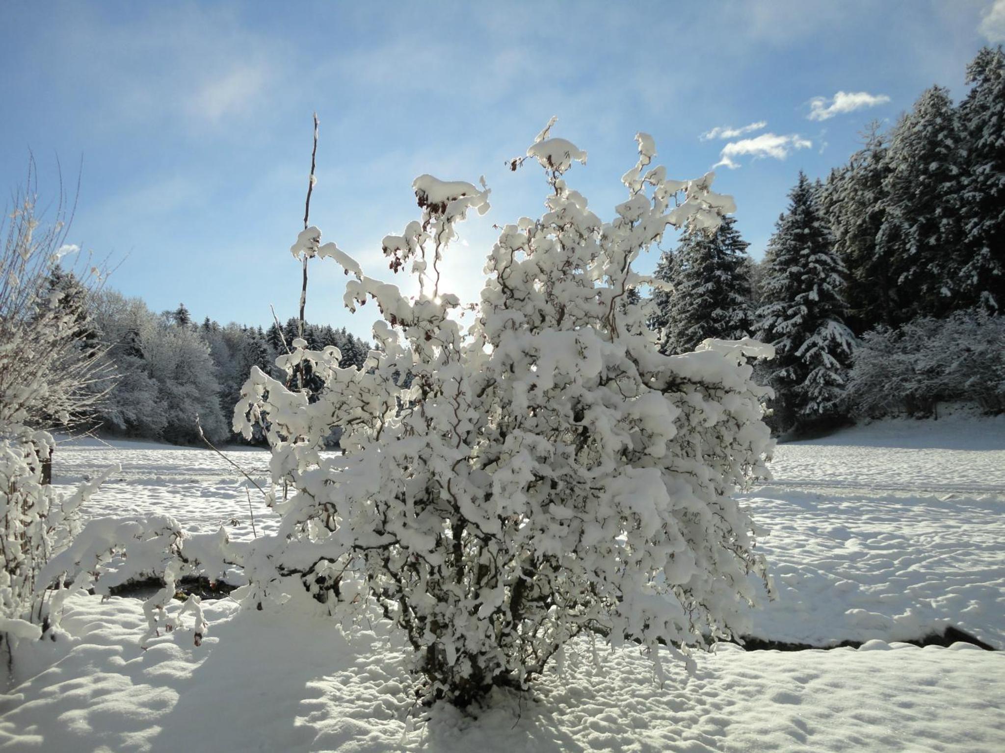 Klieber - Urlaub am Biobauernhof