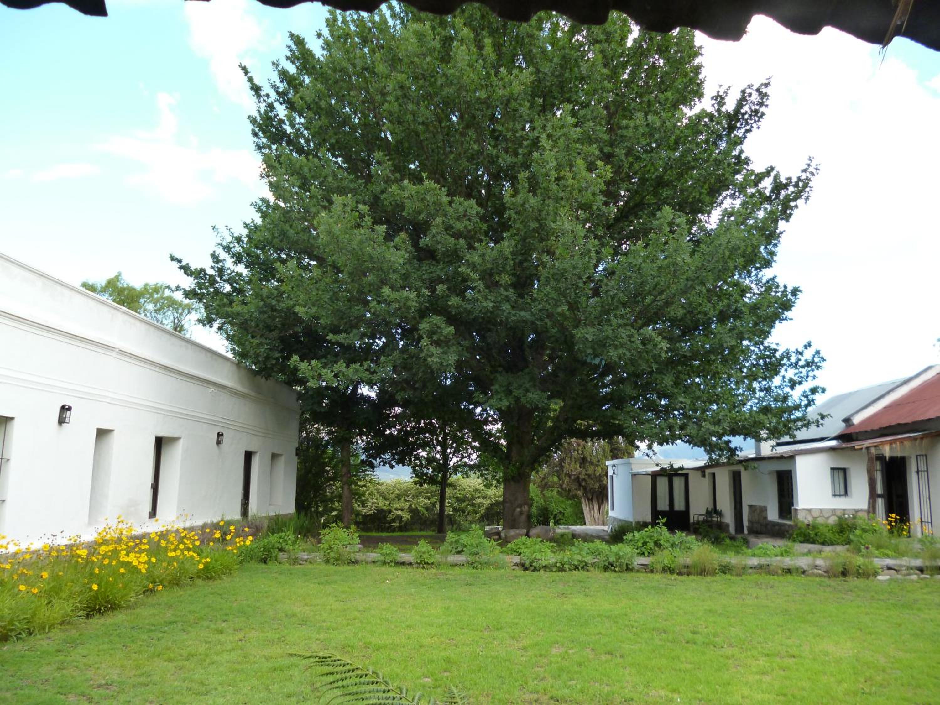 Estancia Las Tacanas