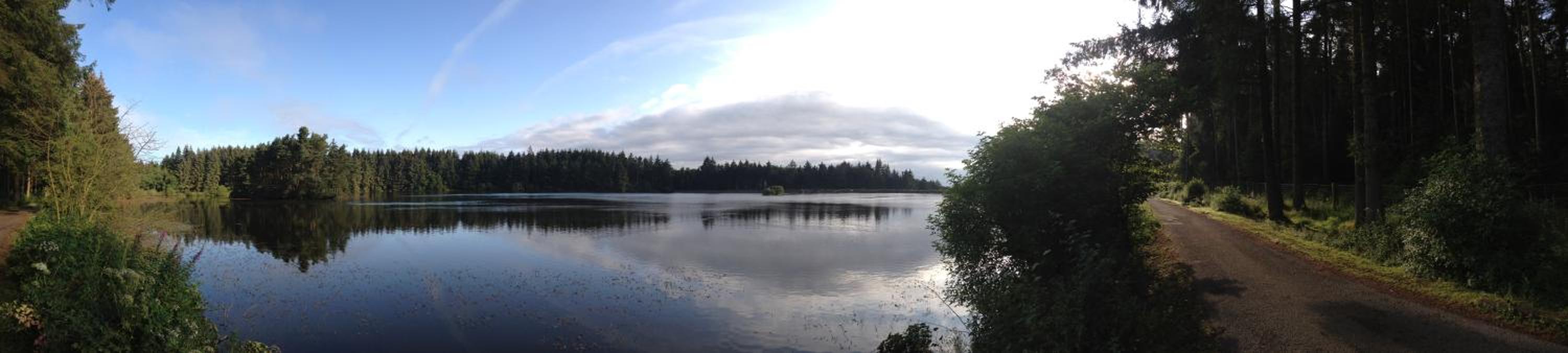 Photo 33