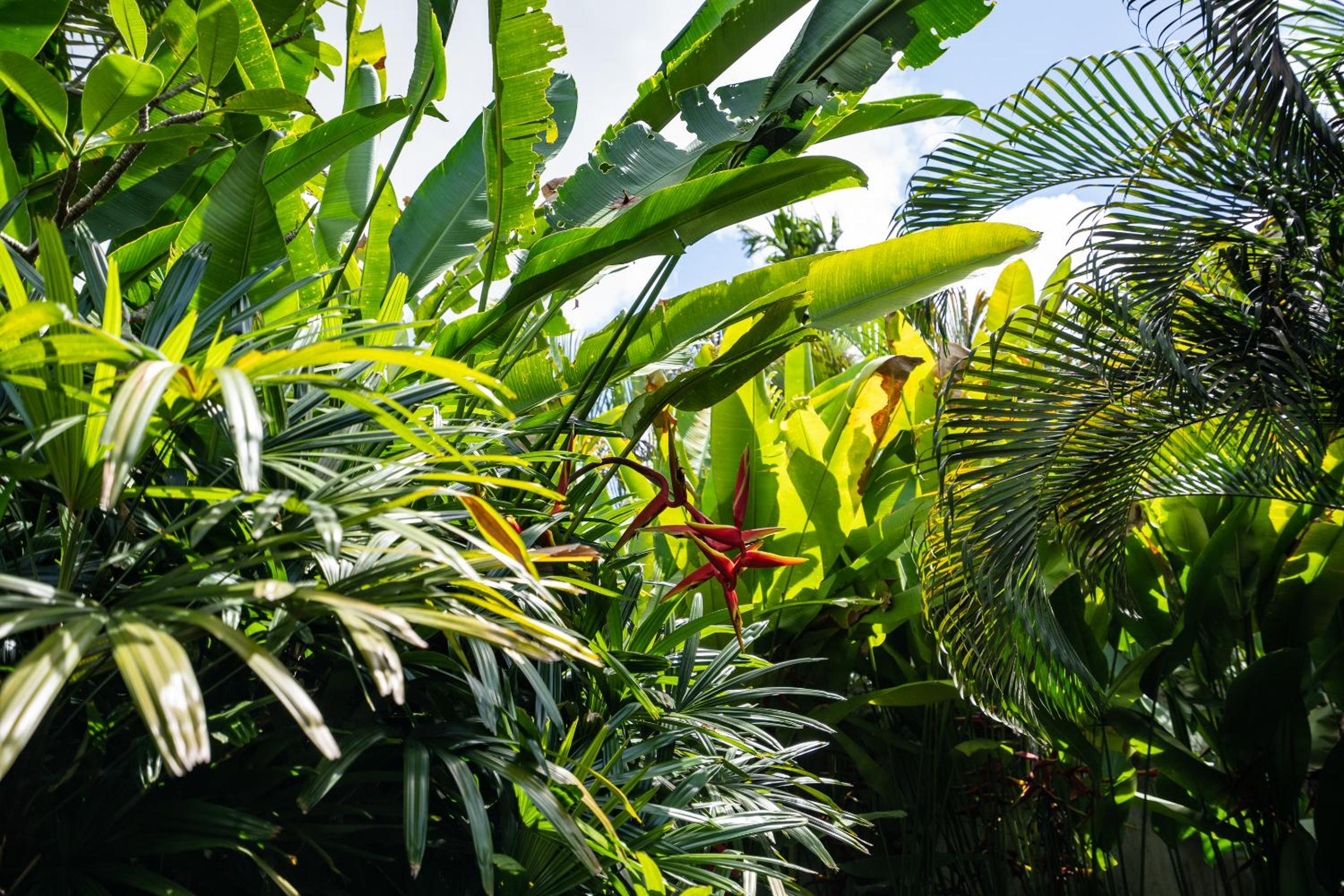 Jepun Villa Ubud