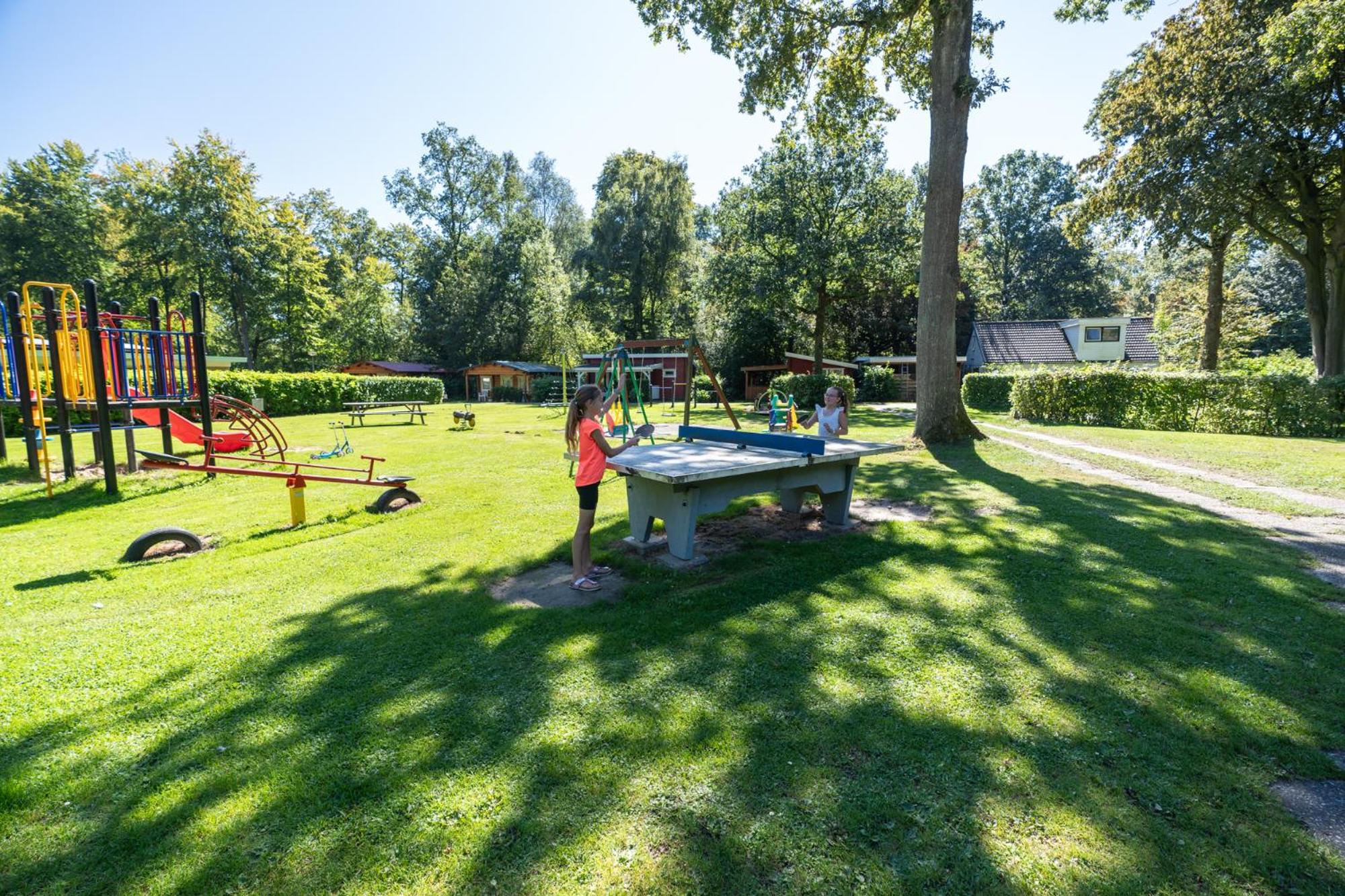 Camping het Bosbad, photo 21