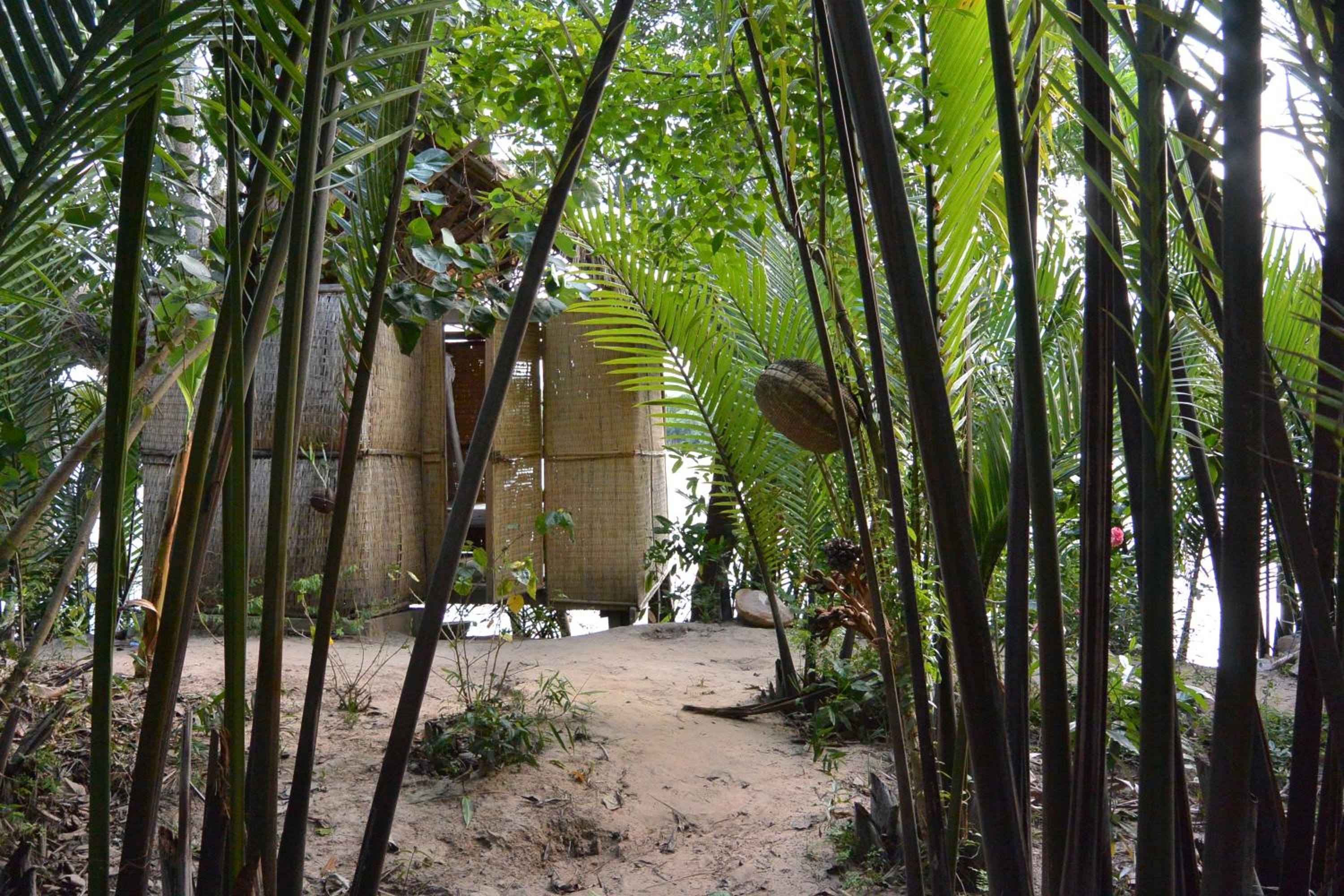 Photo 43