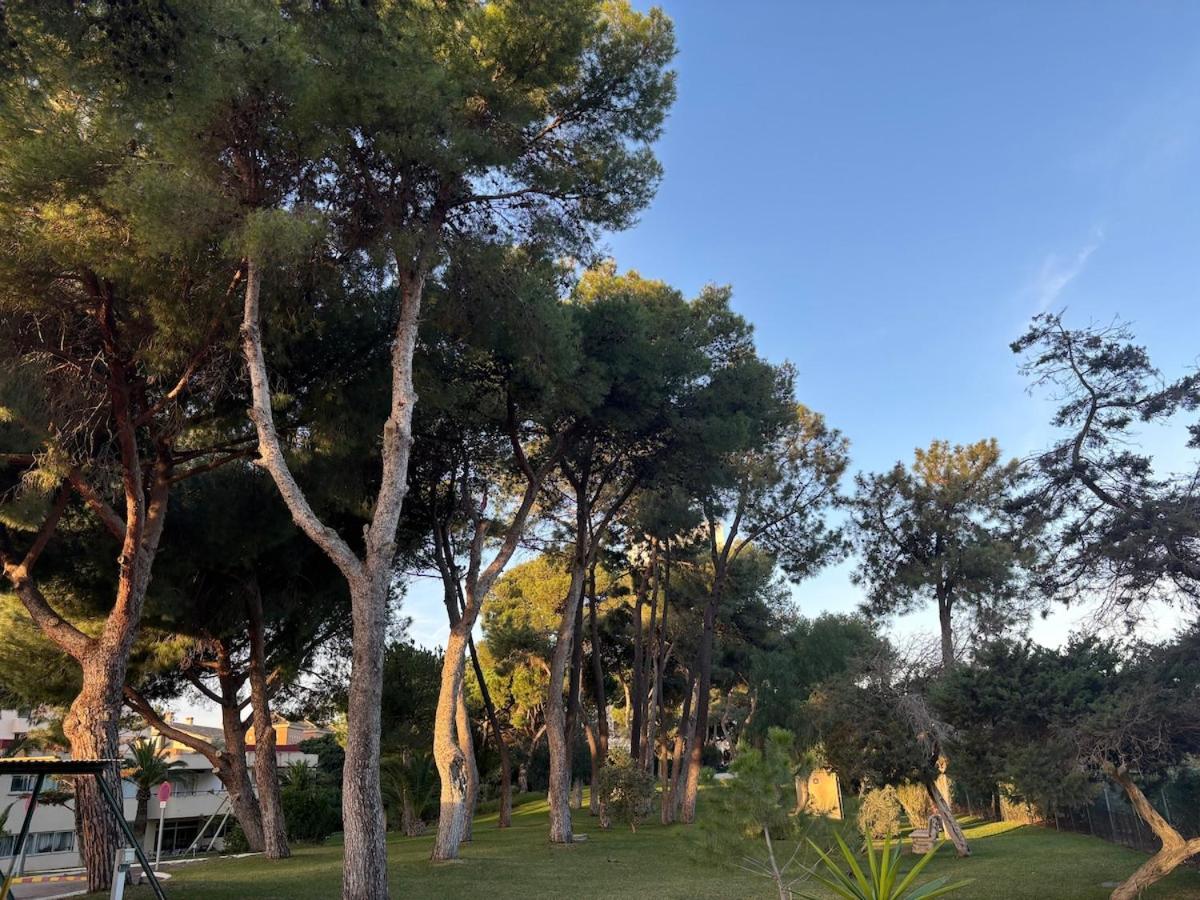 Wonderful apartment in Marbella Enjoy the fantastic views