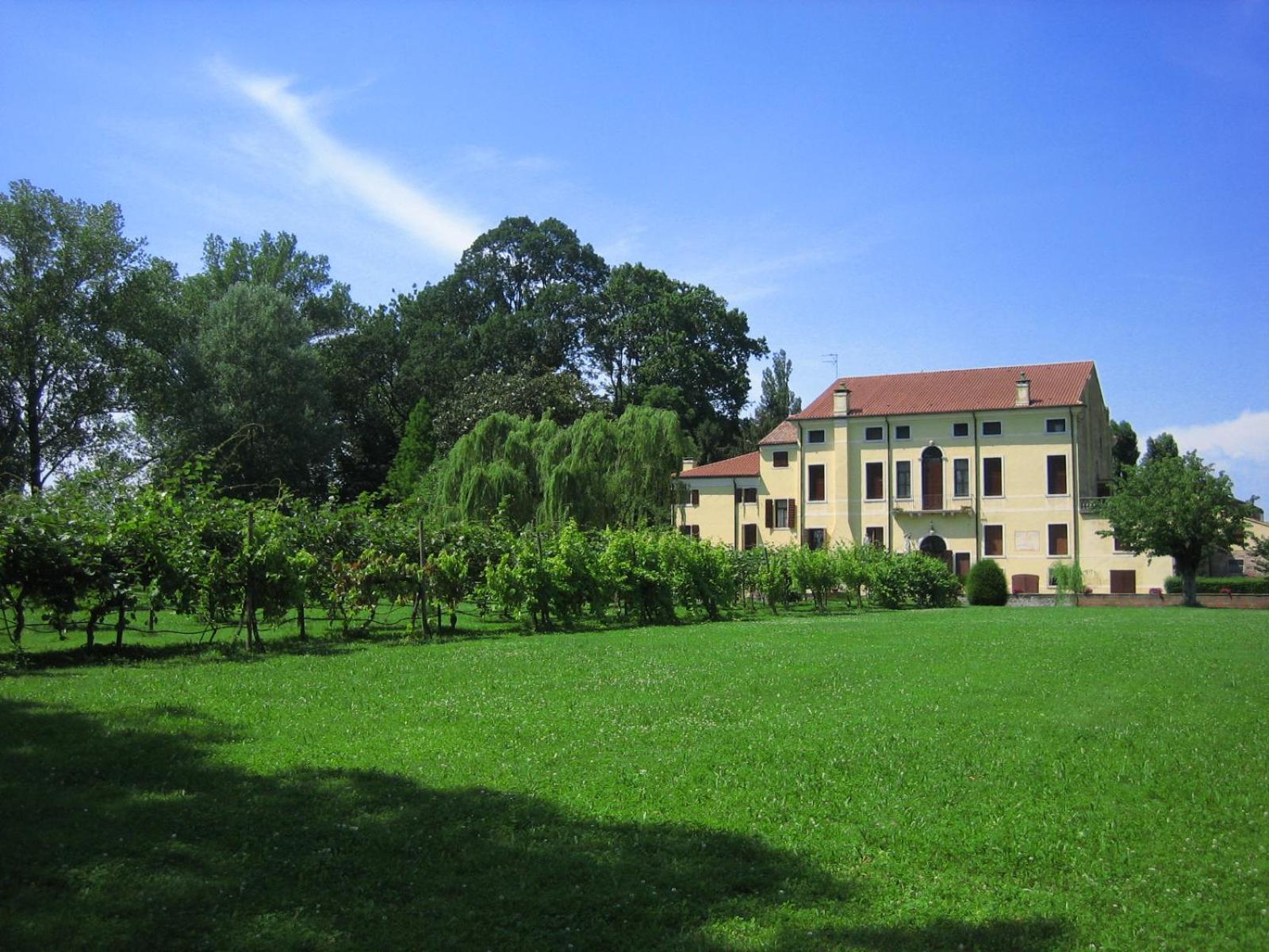 Agriturismo Villa Selvatico view 3