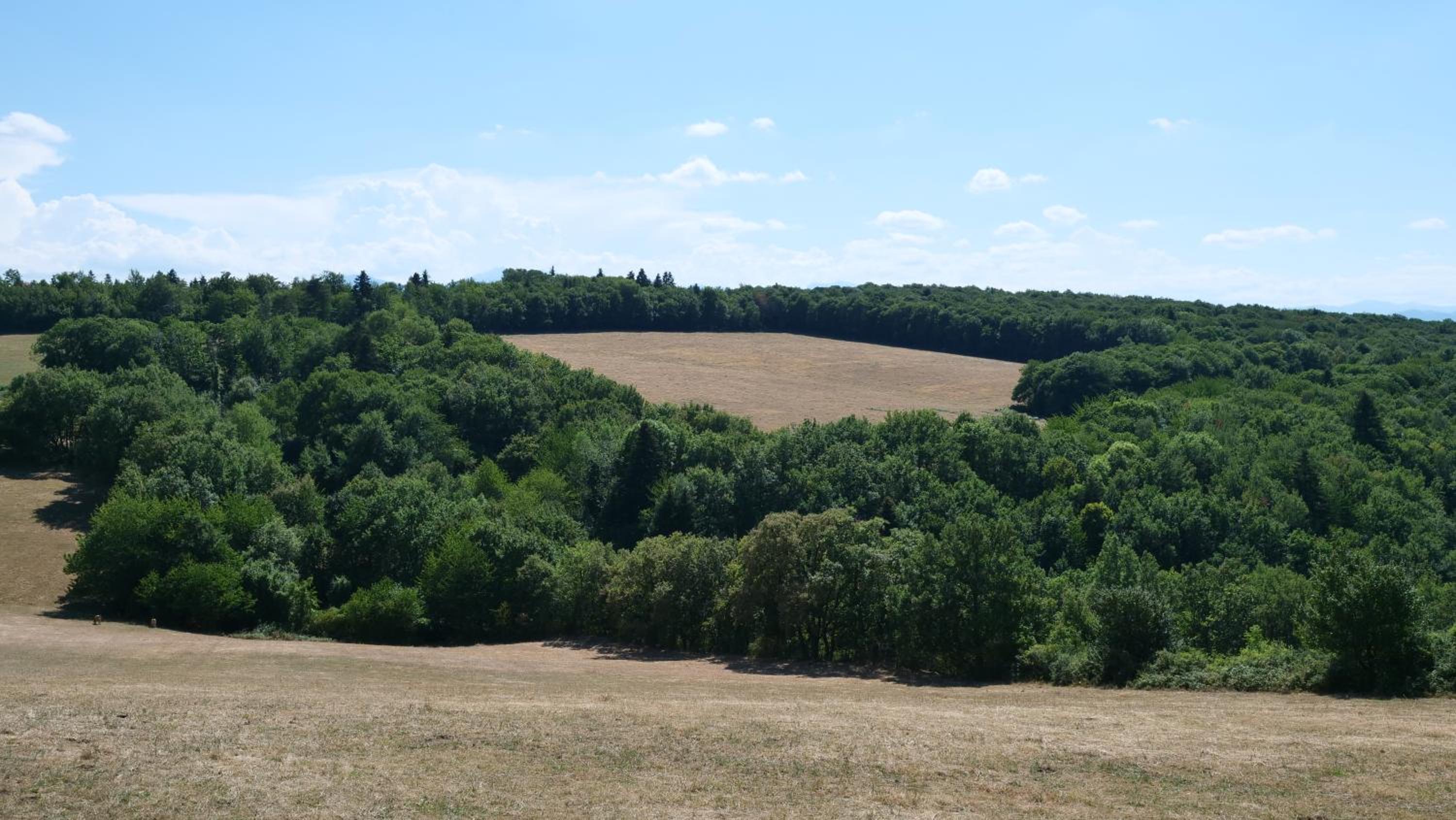 Maison avec vue sur le Lac de Montbel