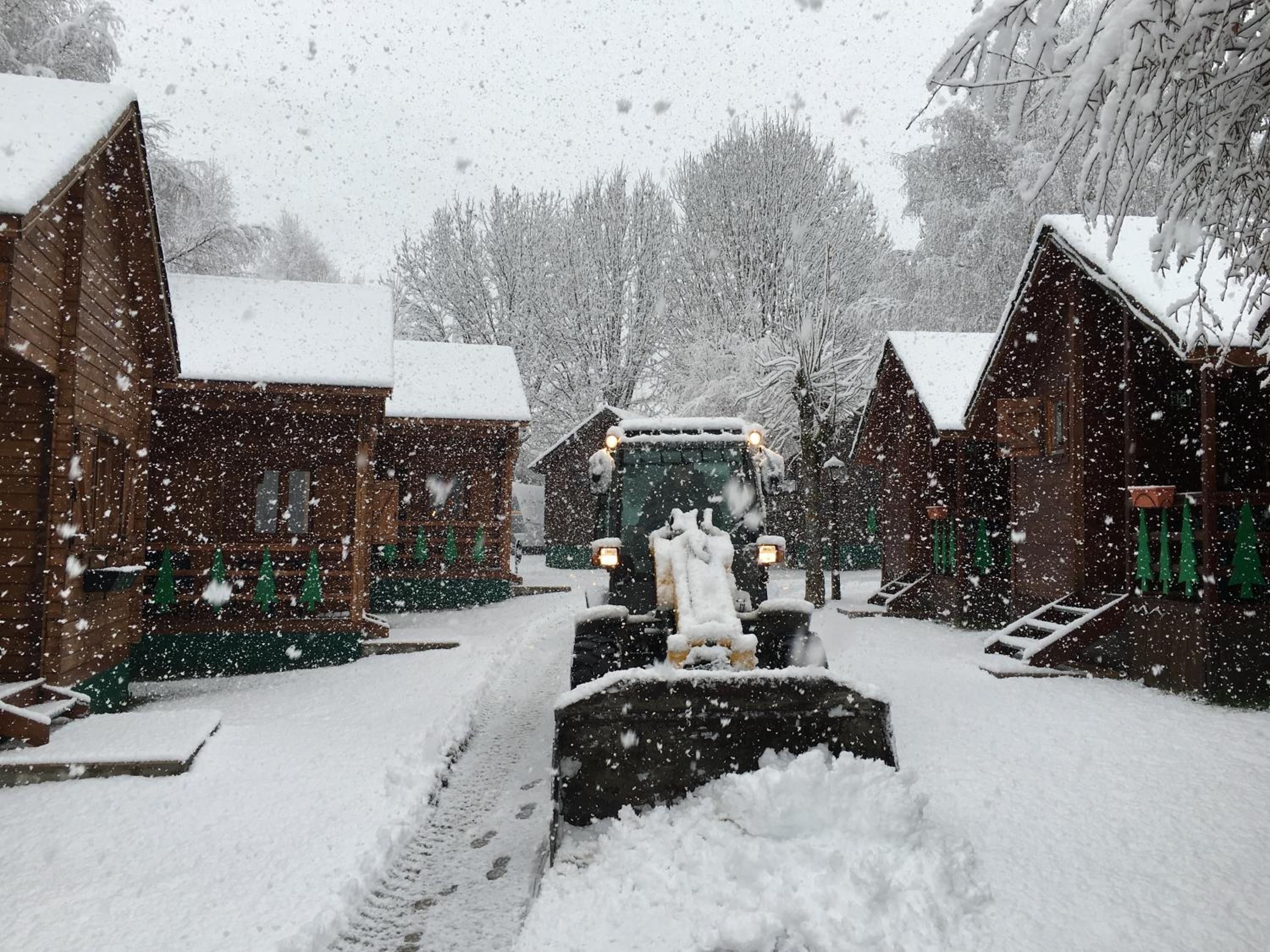 Photo 23