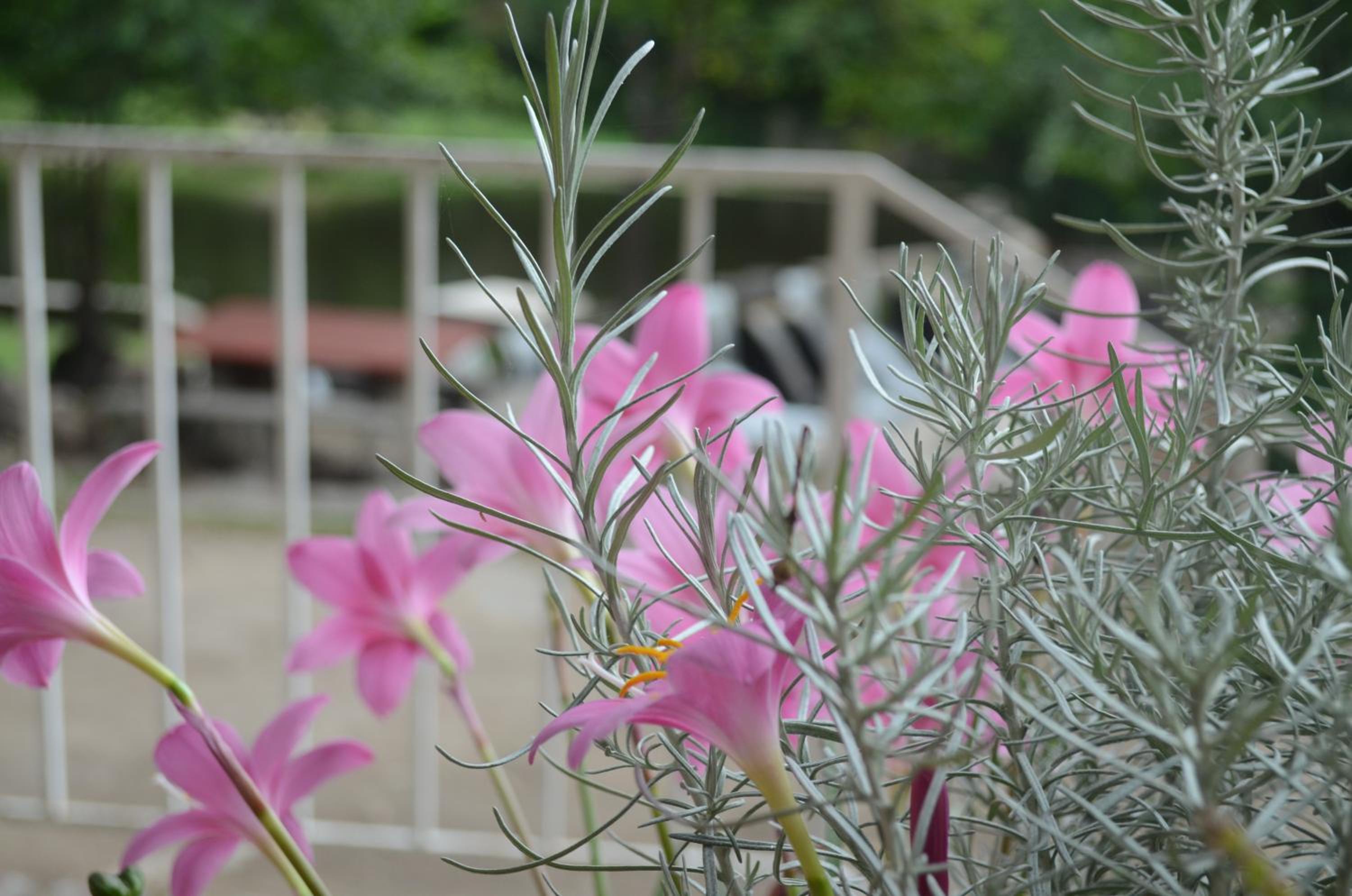 Hosteria Sans Souci