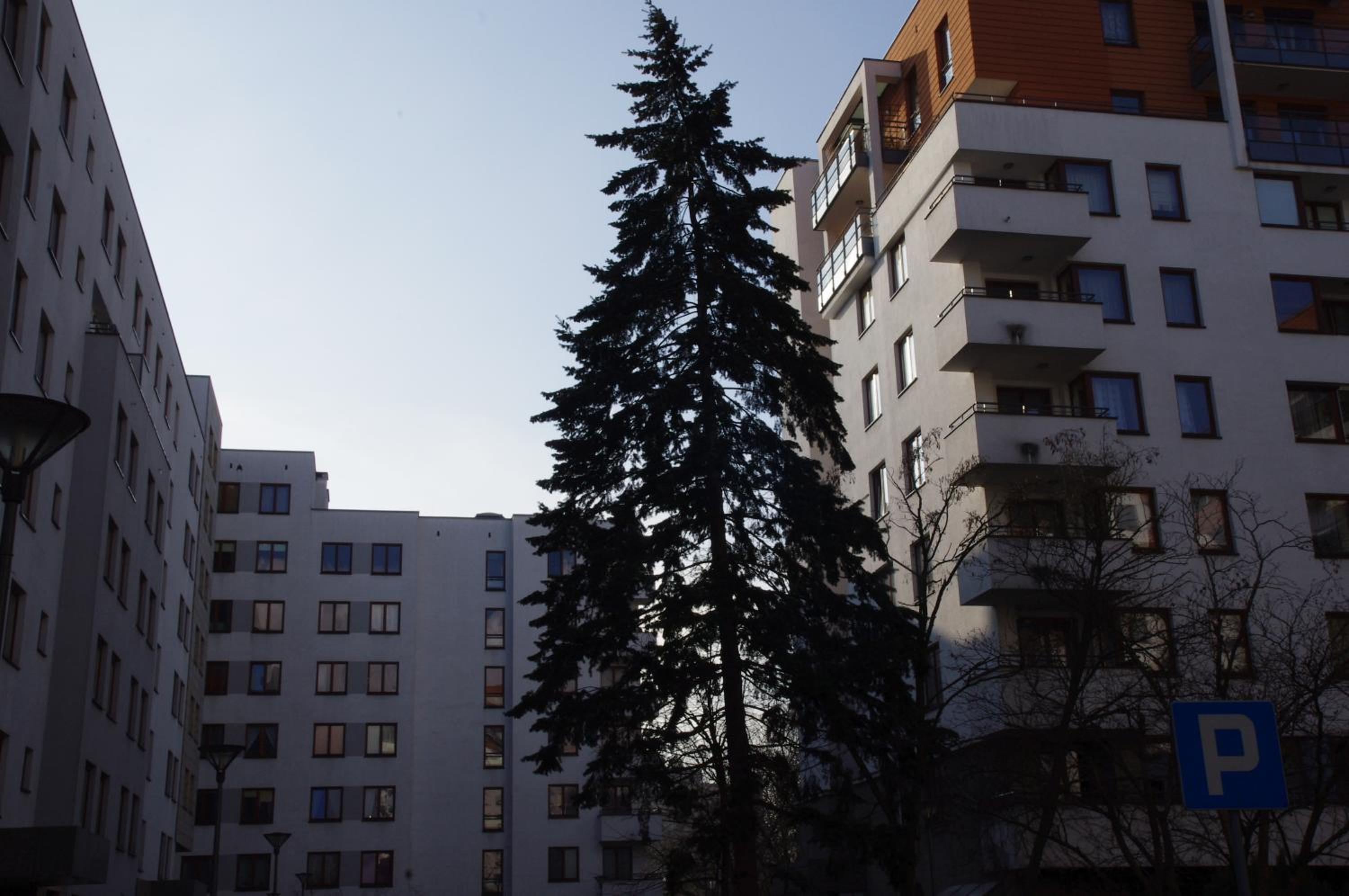 Photo 34