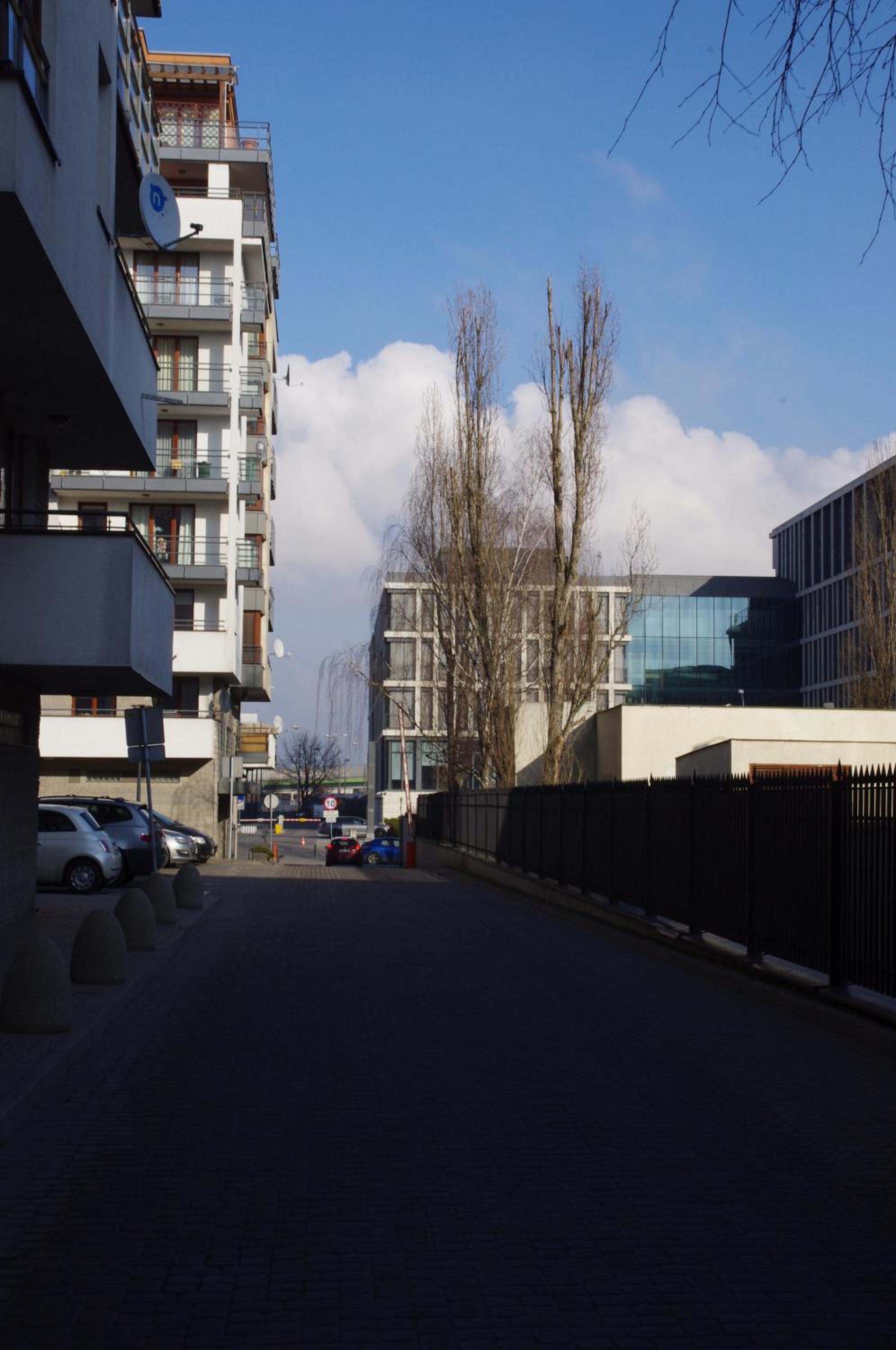 Photo 36