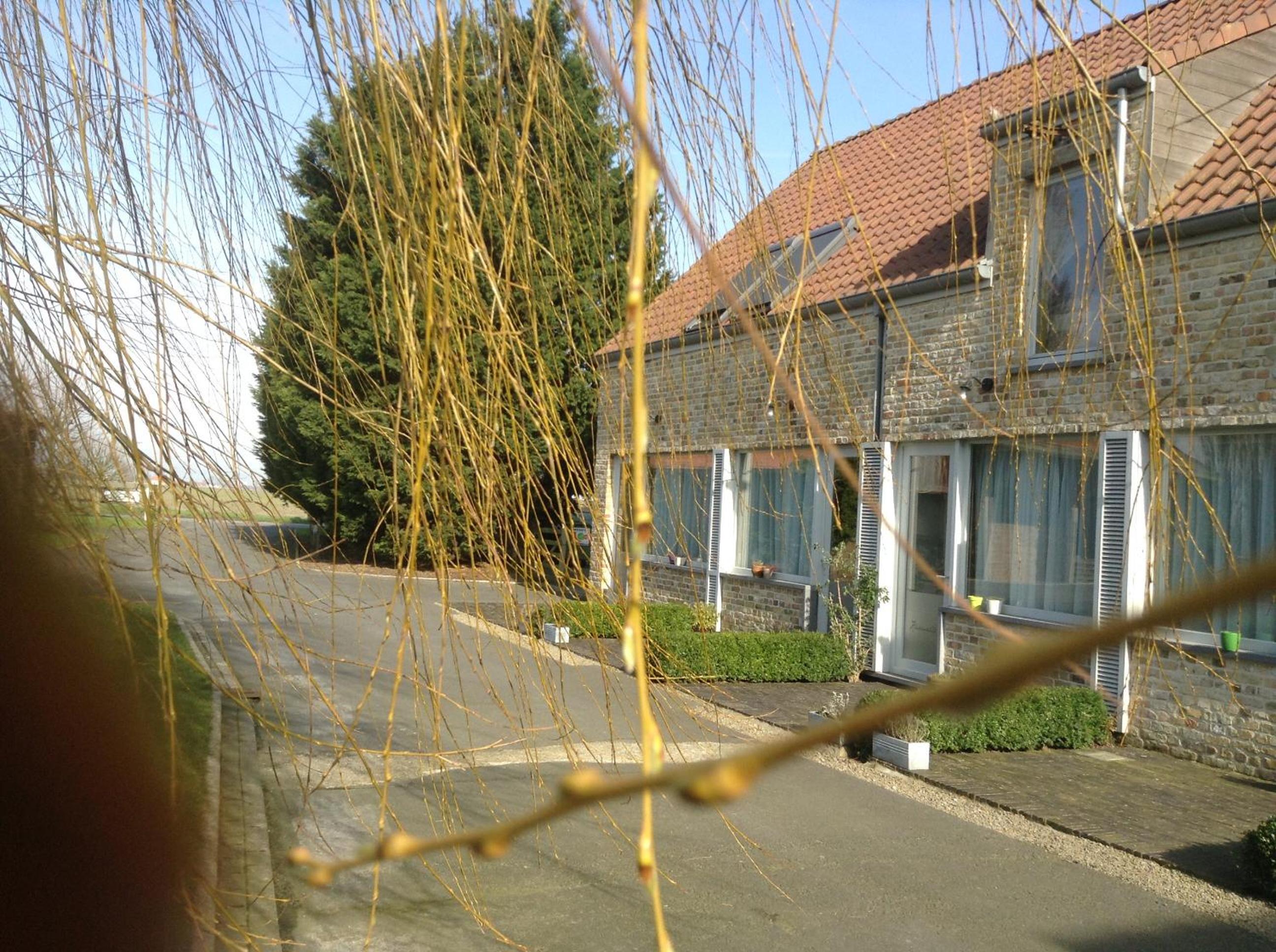 Photo 28