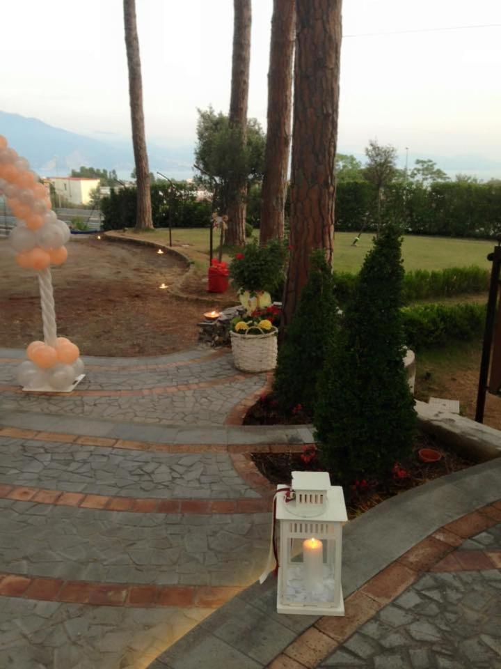 Photo 29