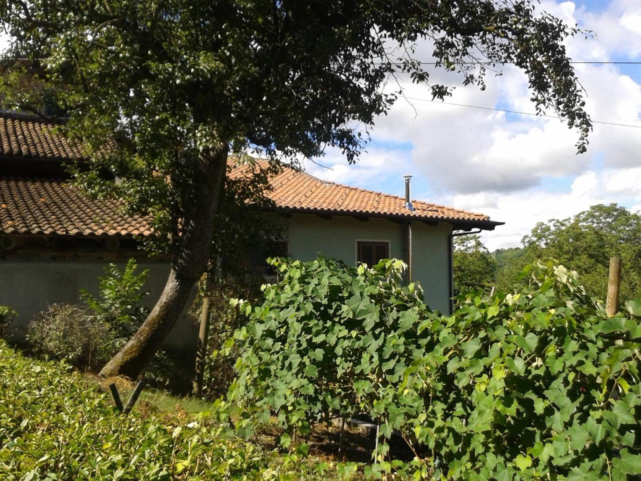 Photo 28
