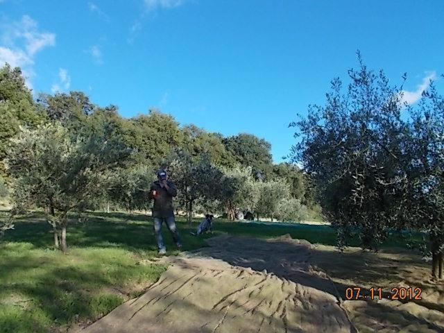 Photo 29