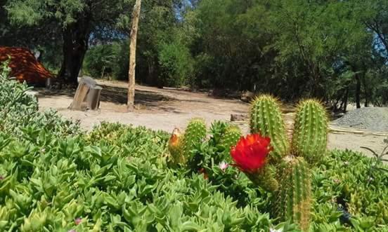 Las Tinajas de San Carlos
