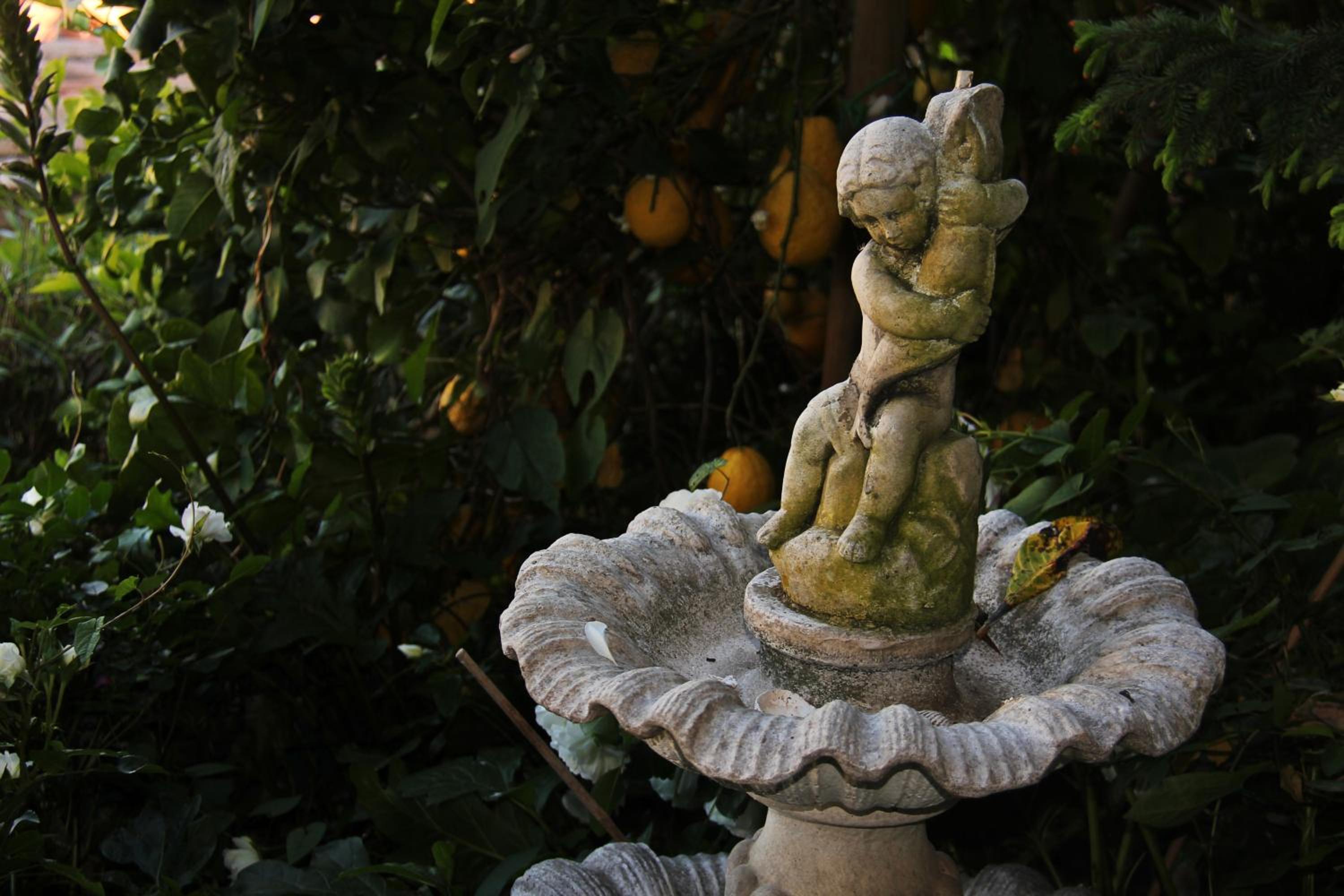 La Casa nel Borgo