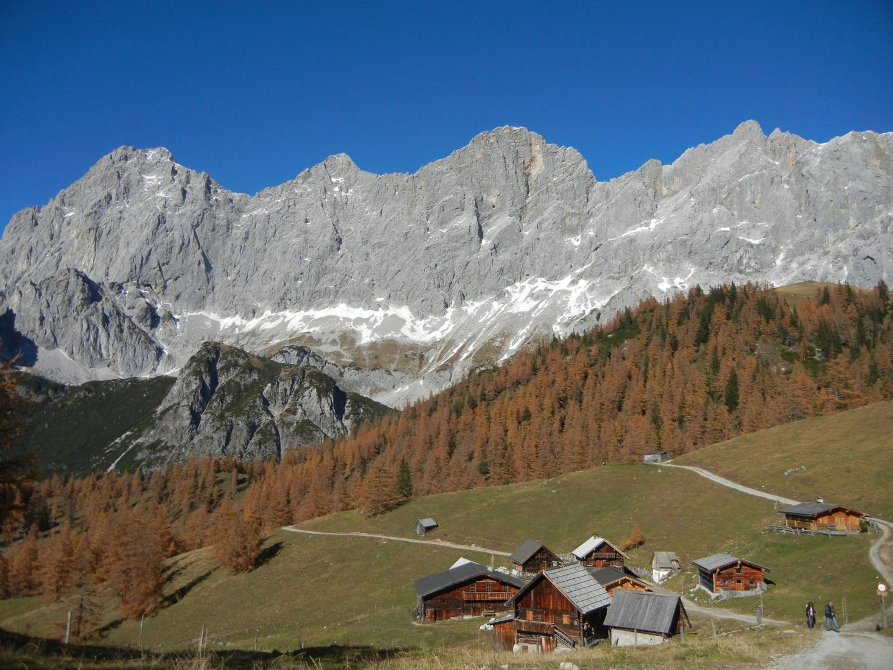 Photo 29