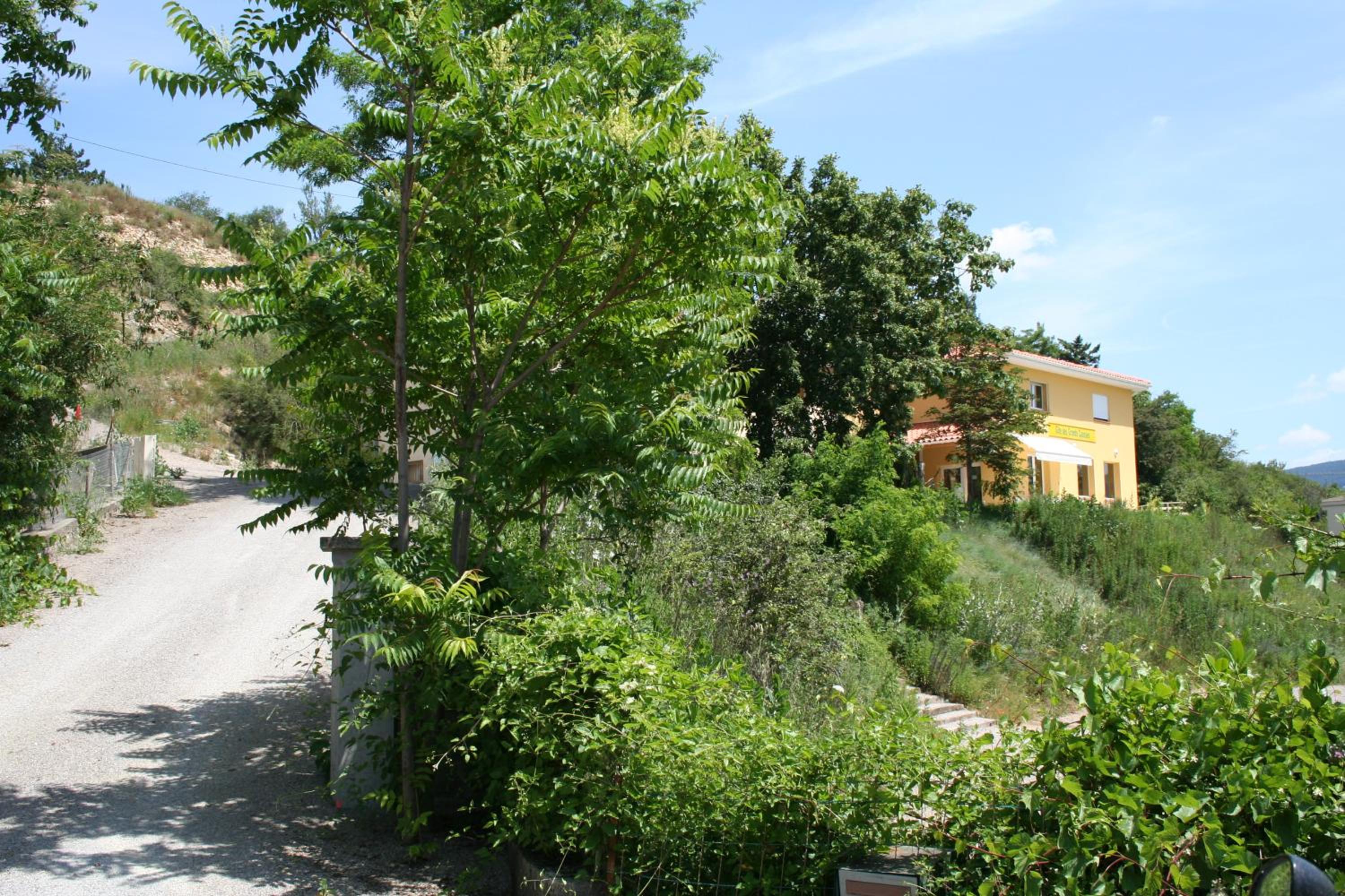 Photo 24