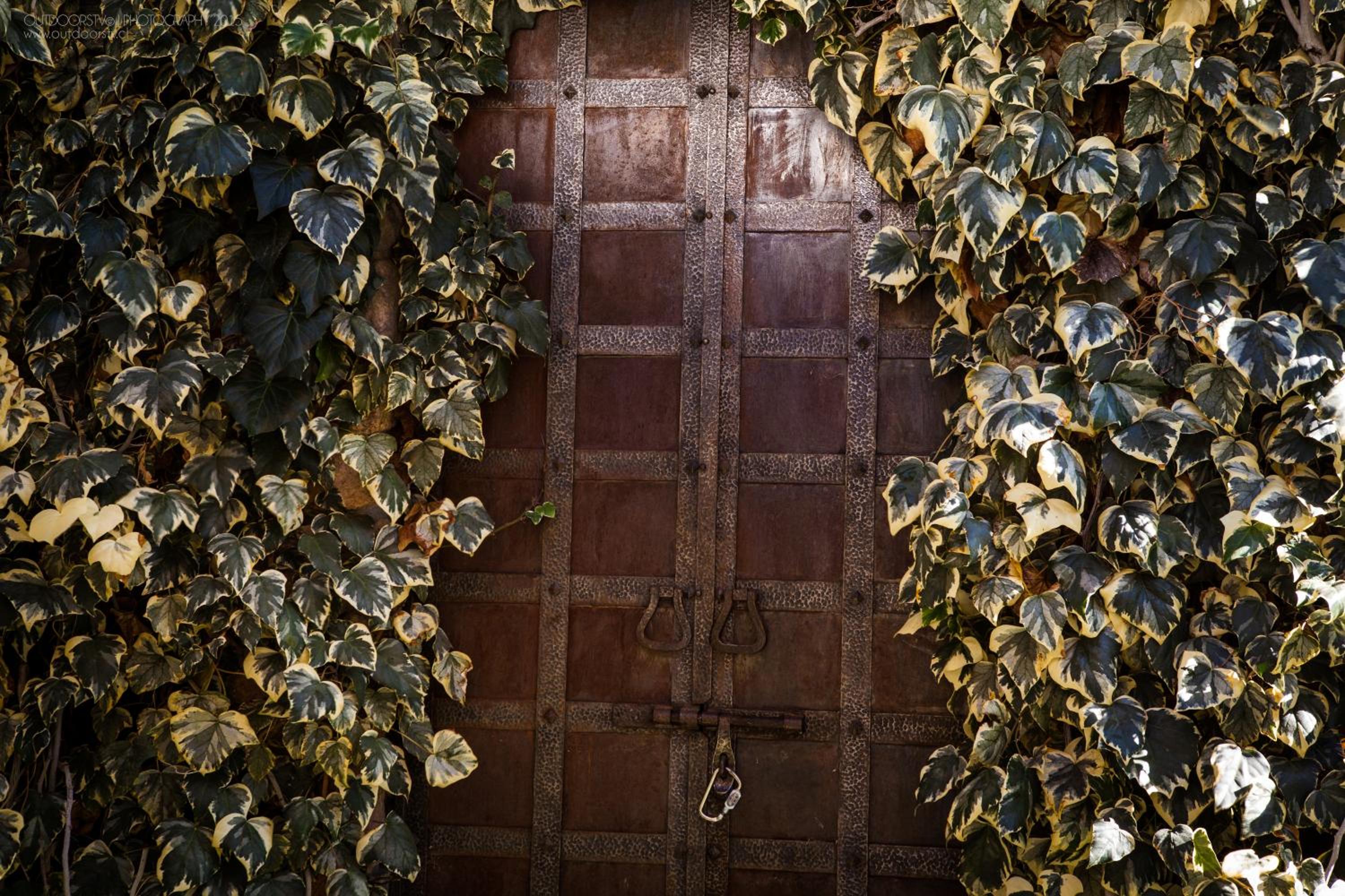 Cabañas Caballieri
