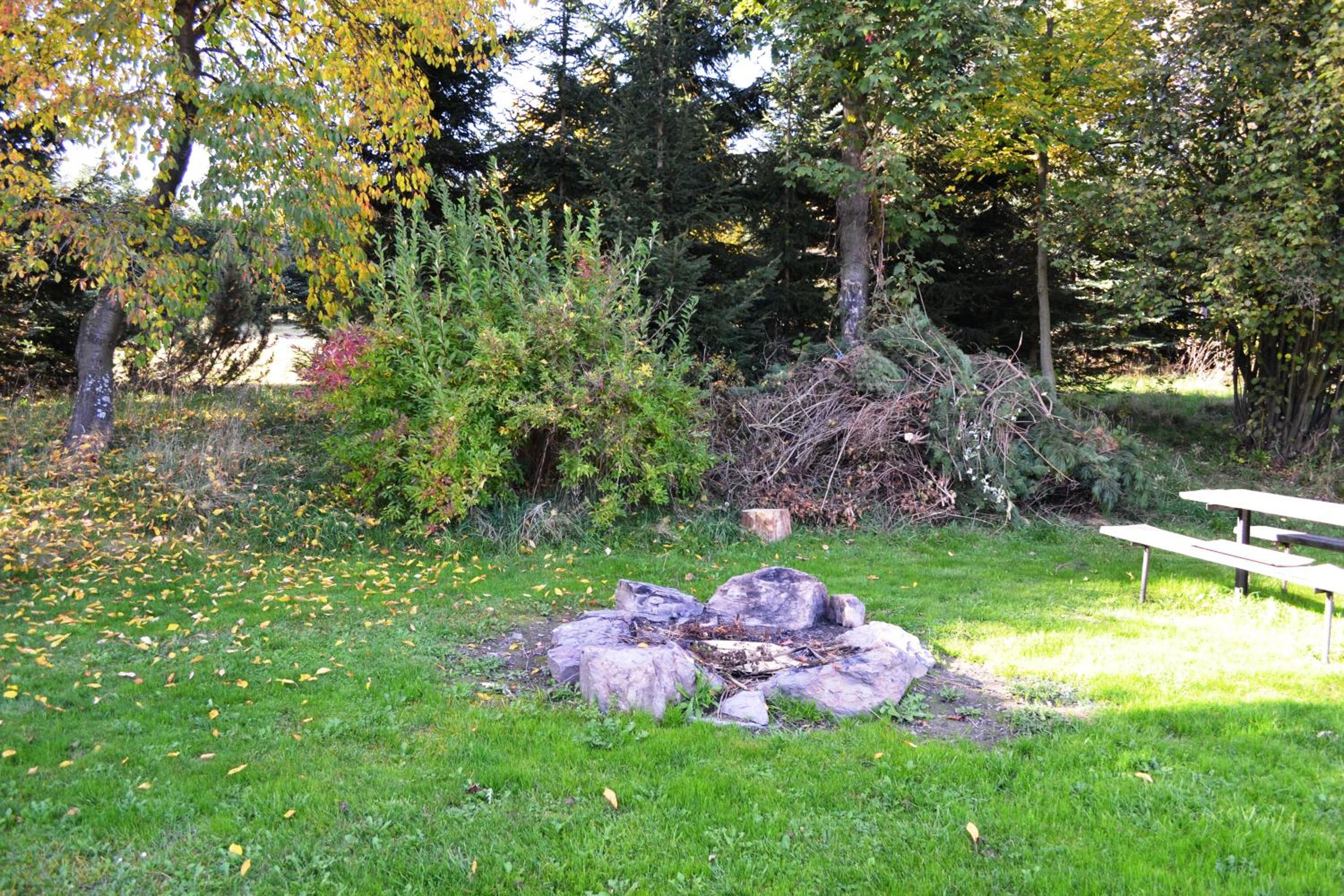 Photo 31