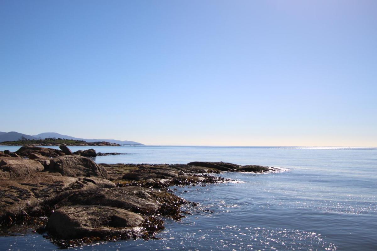 Blu-Sea 365