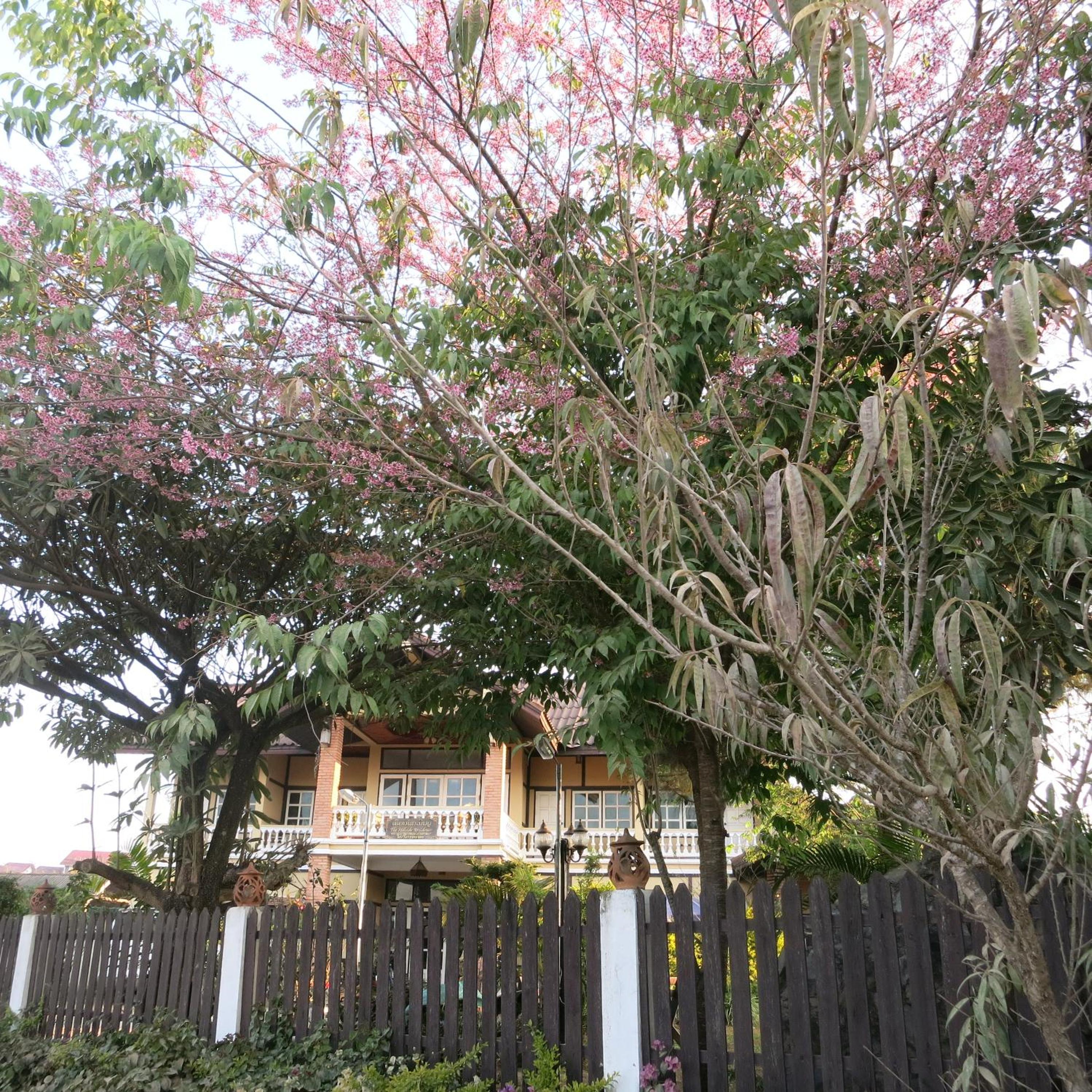 The Hillside Residence, photo 31