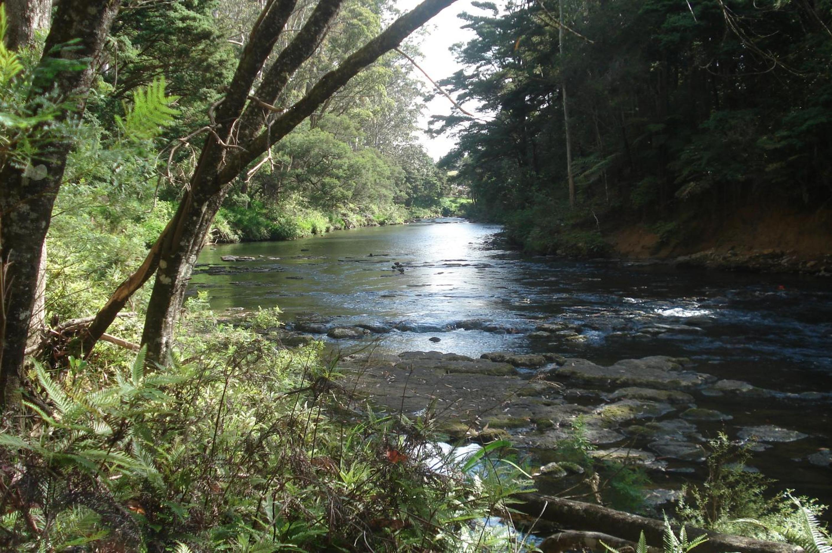 Woodlands Motel