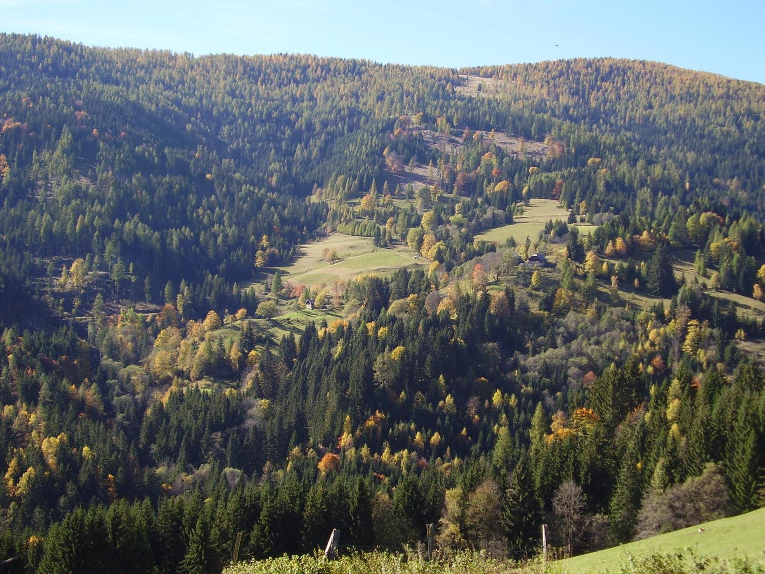 Surtmannhof