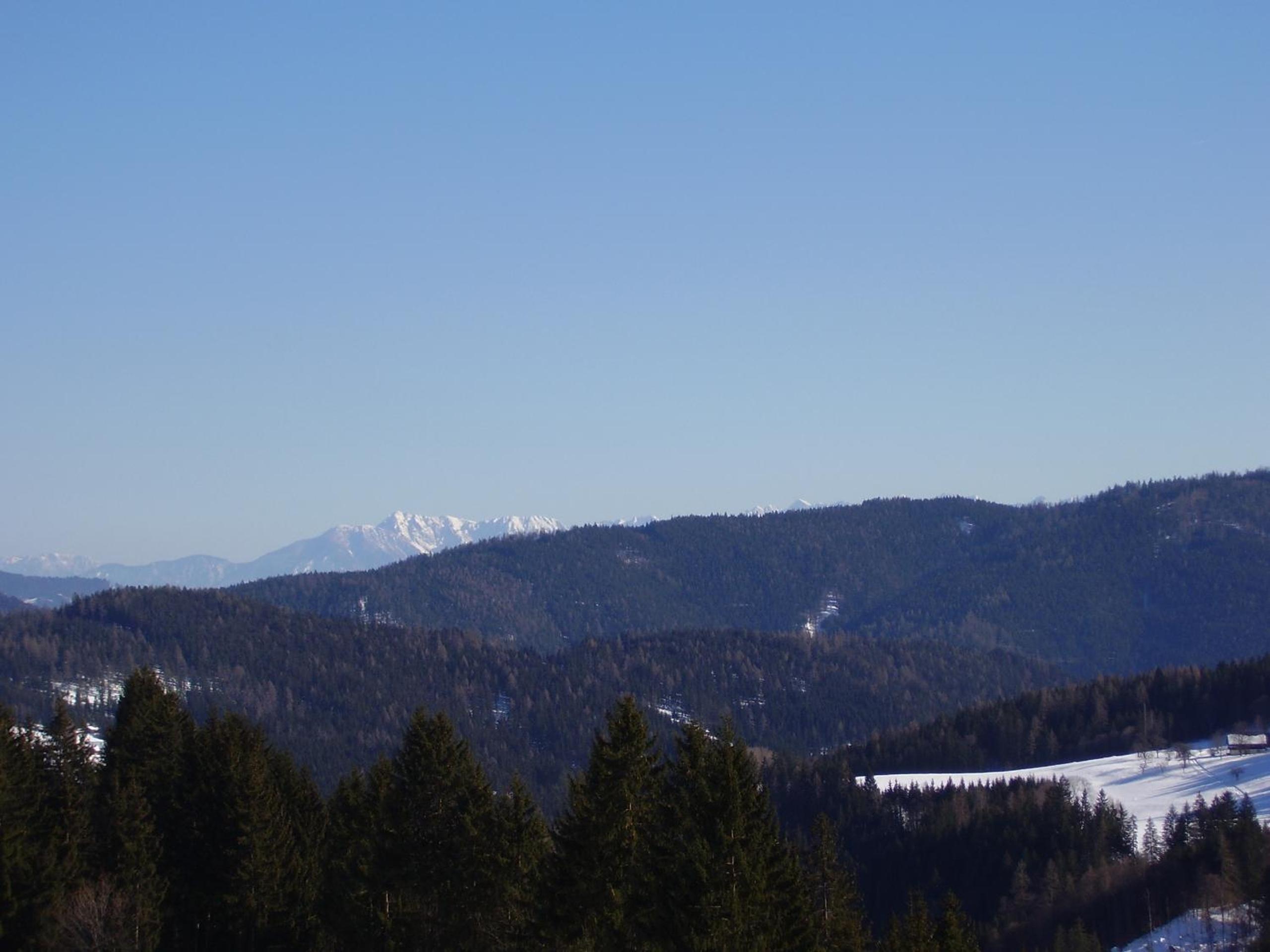 Surtmannhof