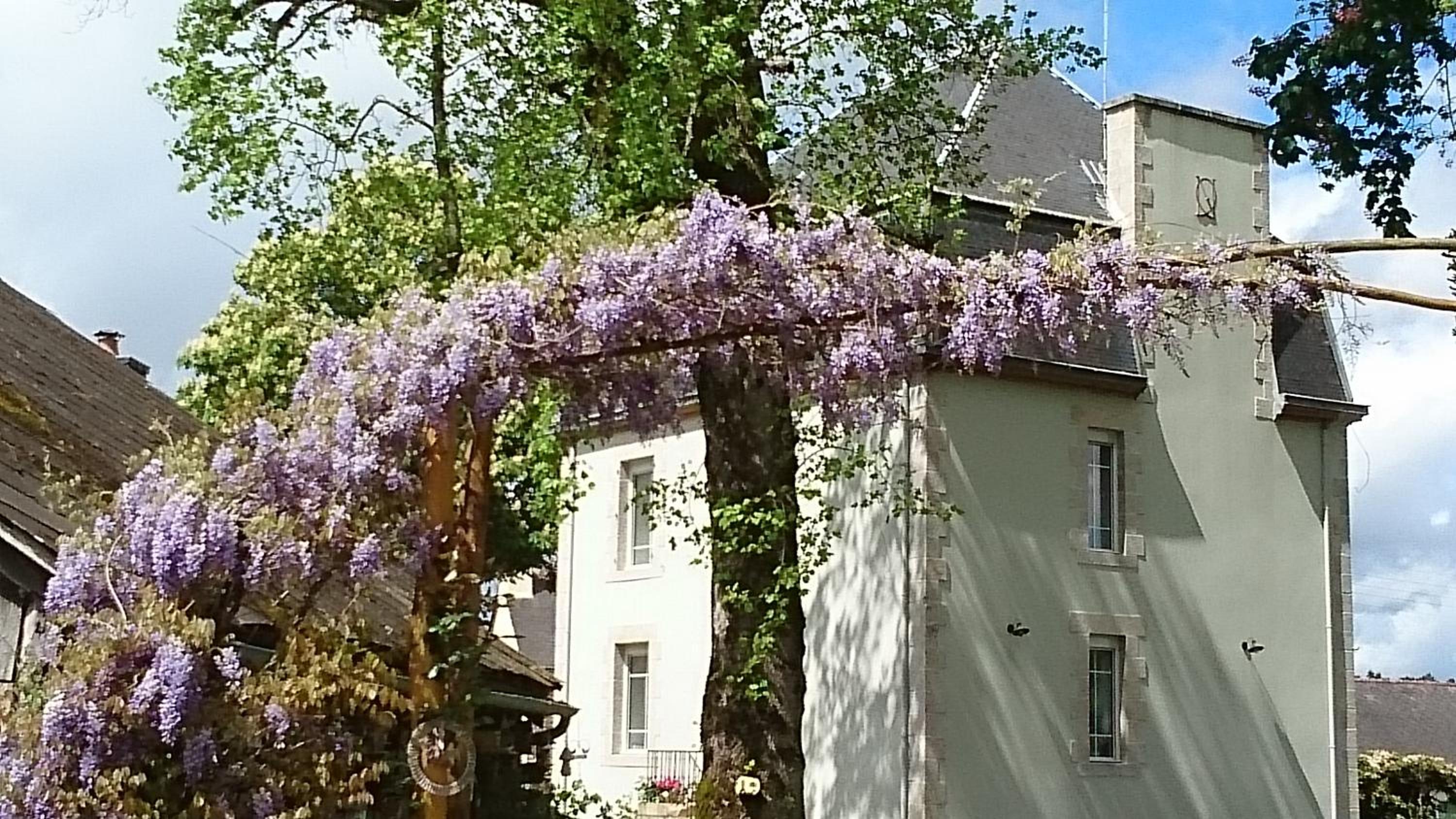 Château Bily B&B Hôtel view 4
