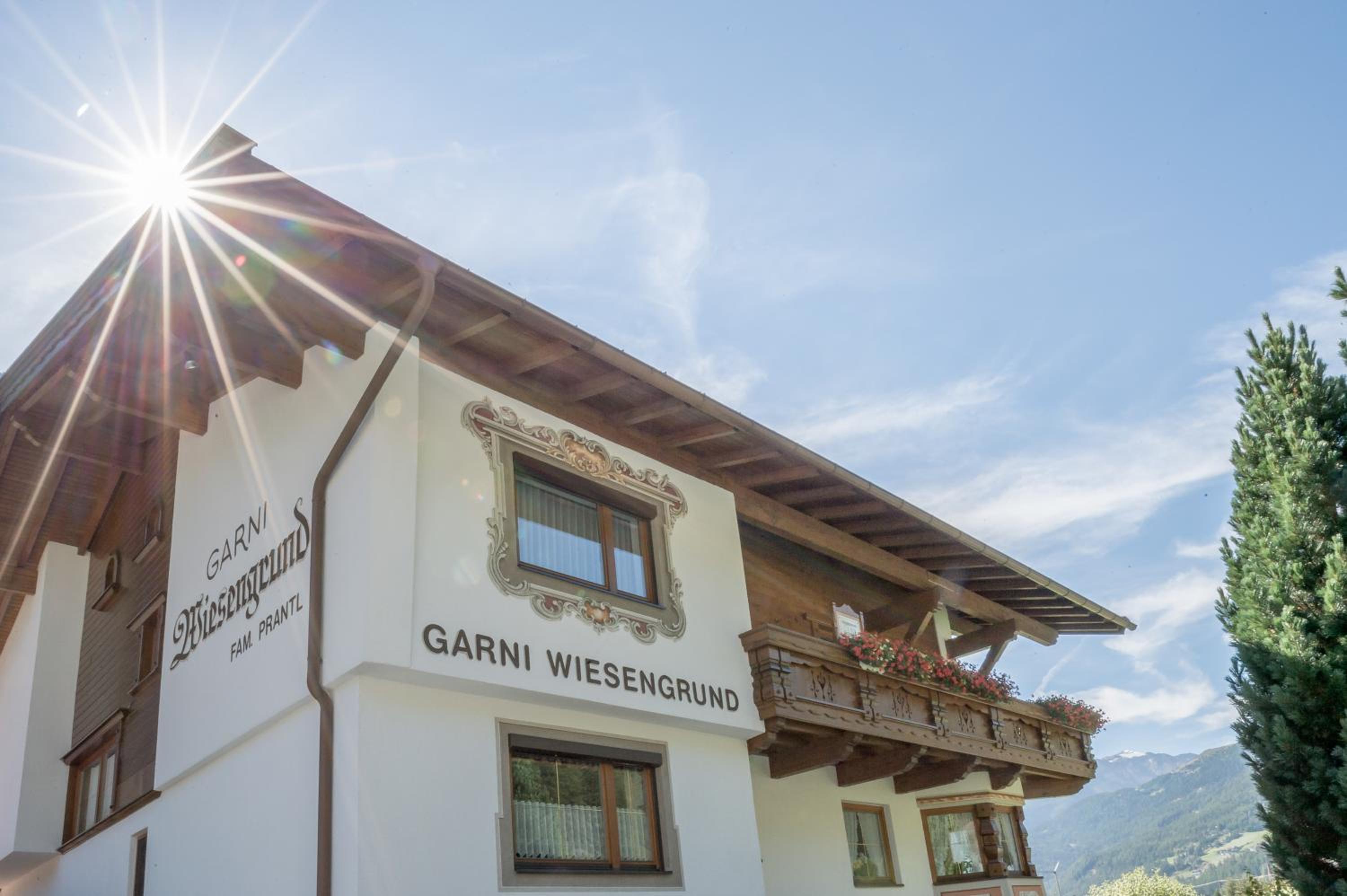 Apart Wiesengrund