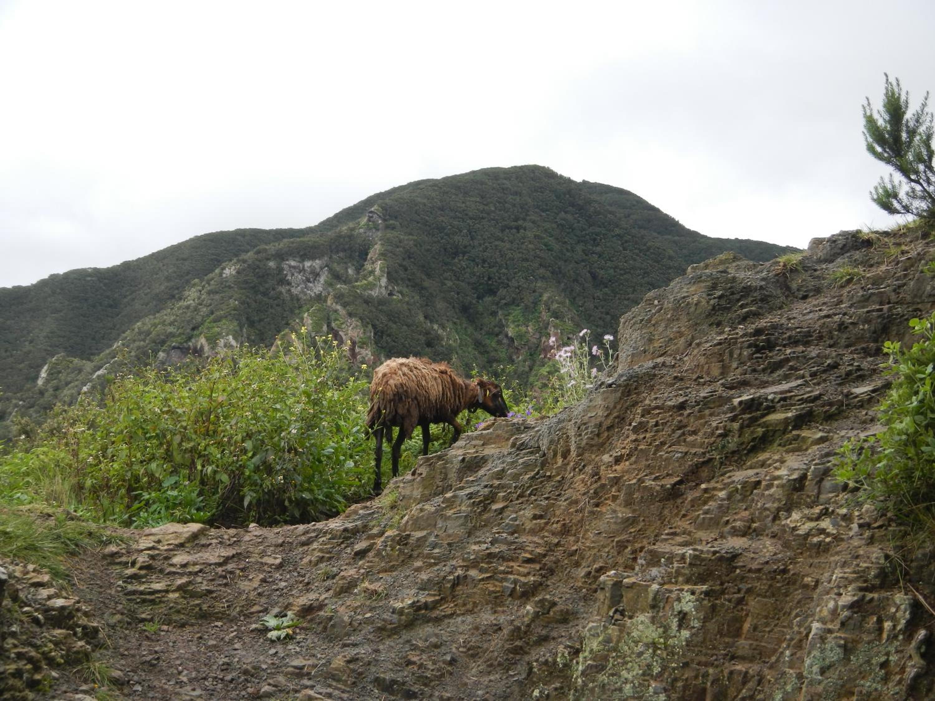 Photo 37